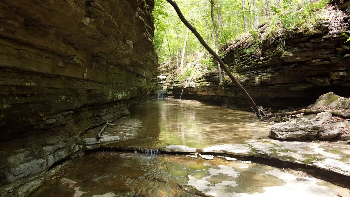 Garfield, Arkansas, 72732, United States, ,Land,For Sale,1804669