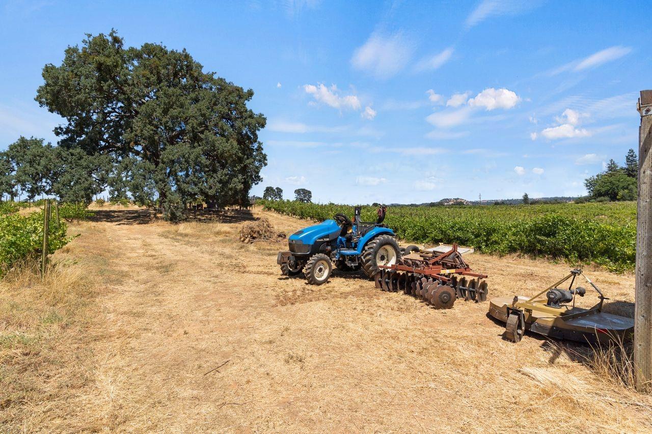 21226 Dickson Road, Plymouth, California, 95669, United States, ,Land,For Sale,21226 Dickson Road,1672447