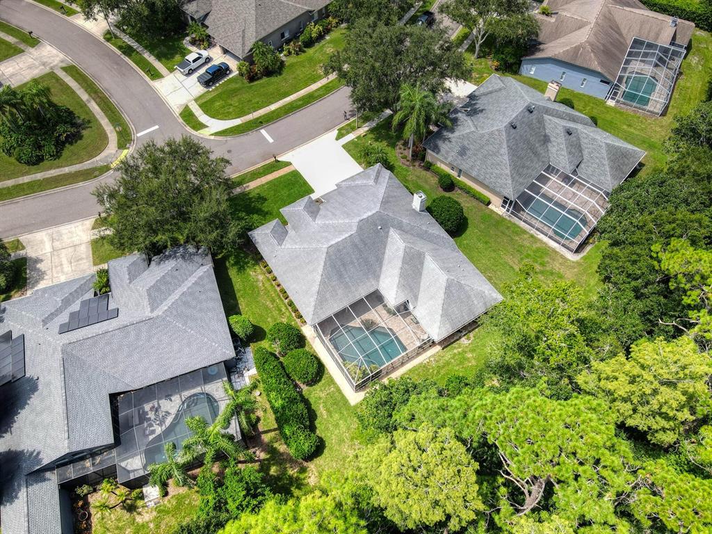 Palm Harbor, Florida, 34685, United States, 4 Bedrooms Bedrooms, ,3 BathroomsBathrooms,Residential,For Sale,1990294