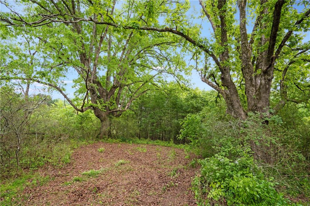 Alpharetta, Georgia, 30004, United States, ,Land,For Sale,1793114