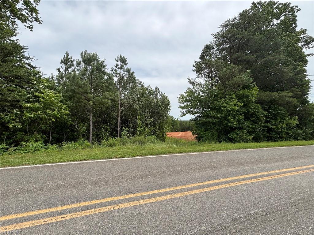 Pinnacle, North Carolina, 27043, United States, ,Land,For Sale,1829534