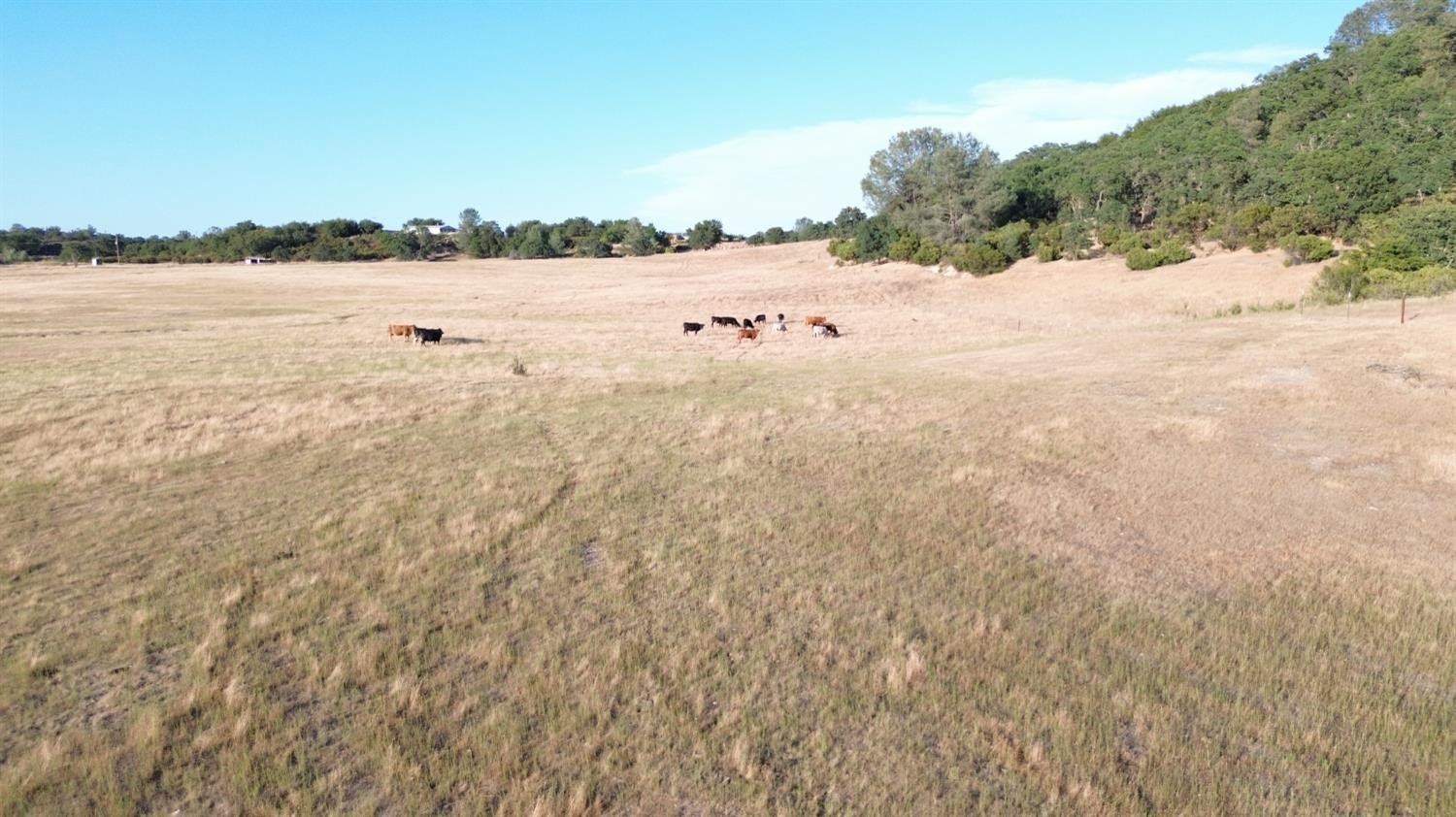 Burson, California, 95225, United States, ,Residential,For Sale,1915097