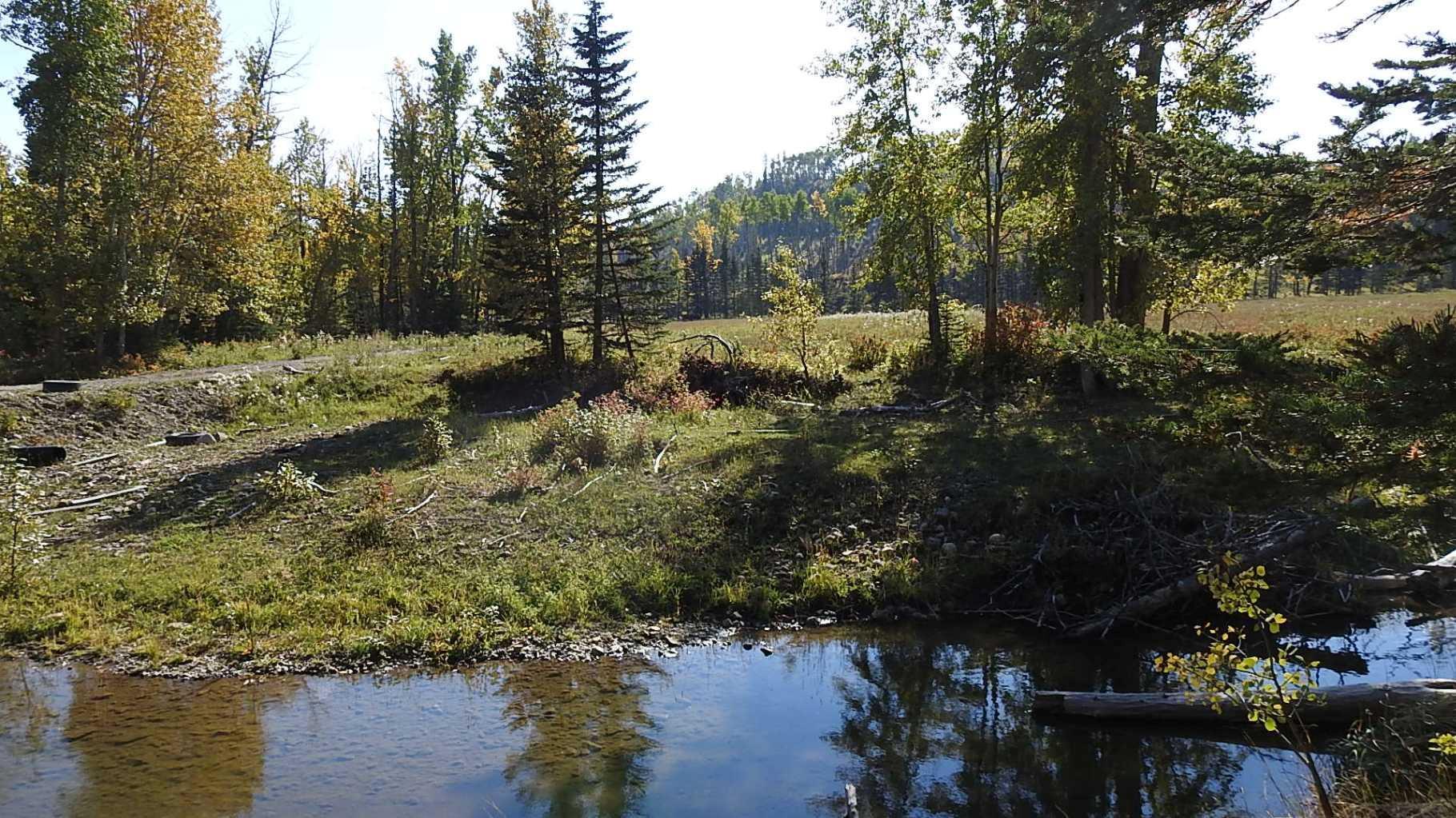 RURAL FOOTHILLS COUNTY, Alberta, T0L 1K0, CA, ,Residential,For Sale,1836944
