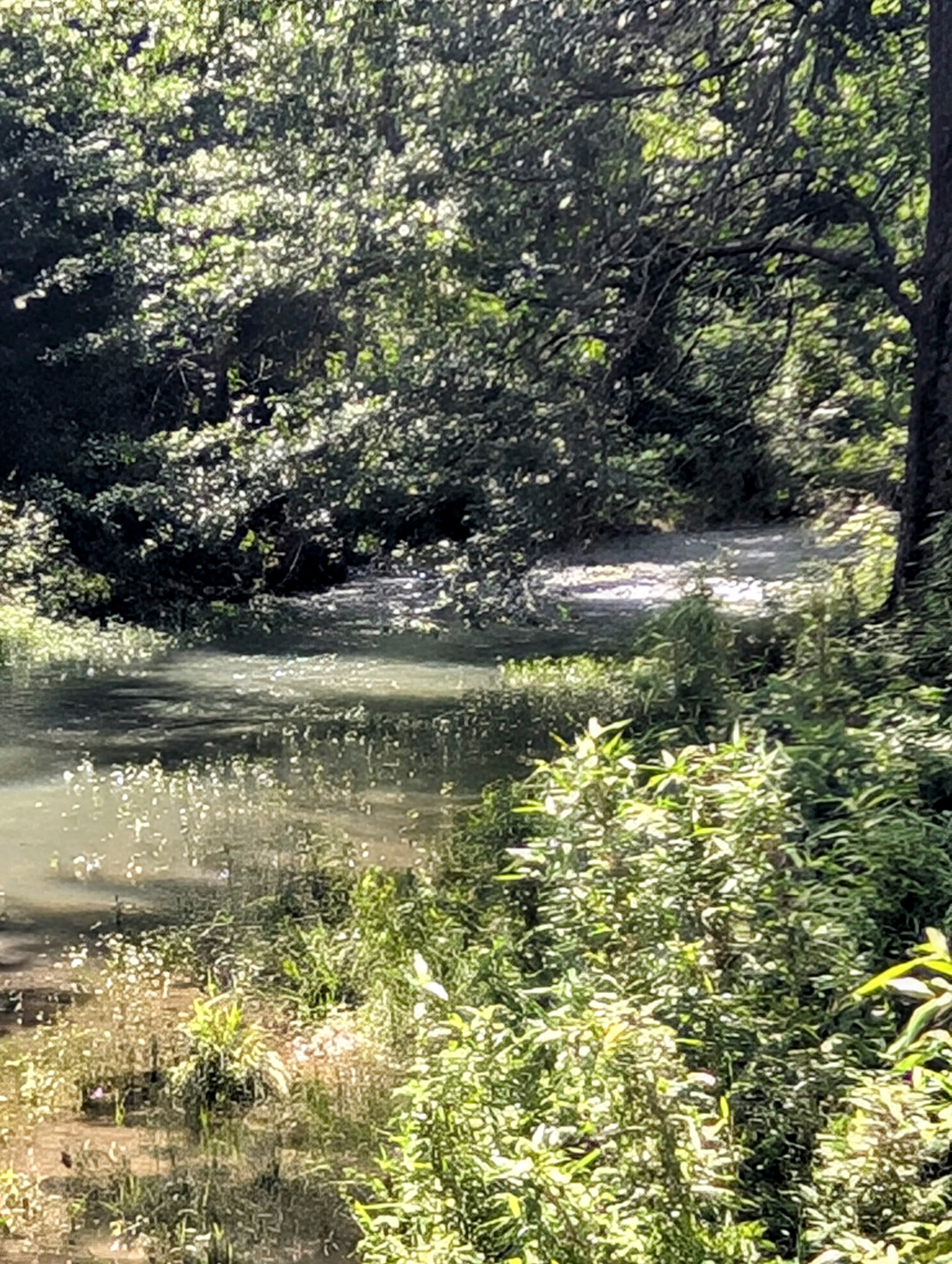 Smithville, Oklahoma, 74957, United States, ,Land,For Sale,1978835