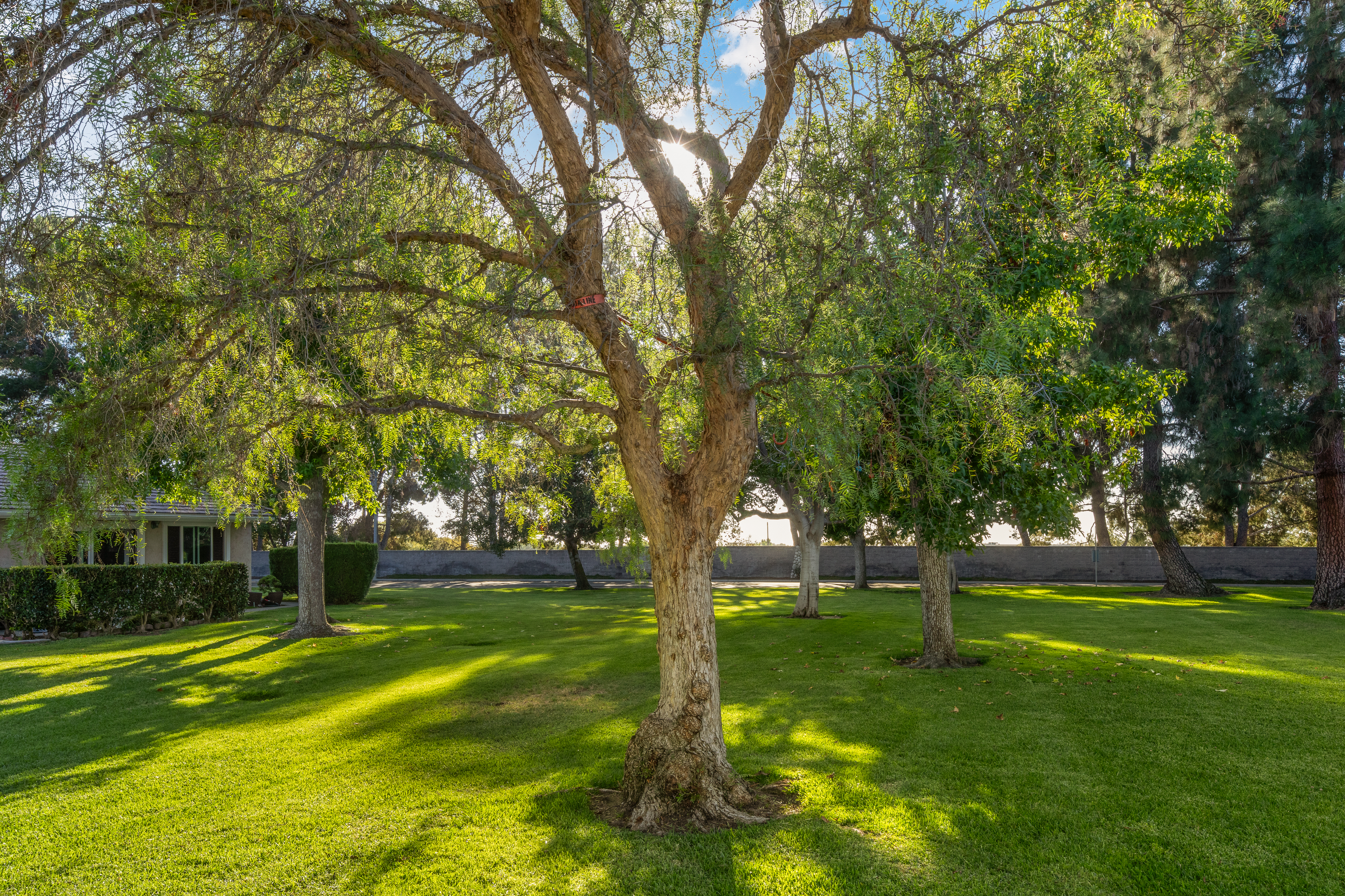  24142 Minnetonka Lane, Lake Forest, CA 92630 - 物件實景