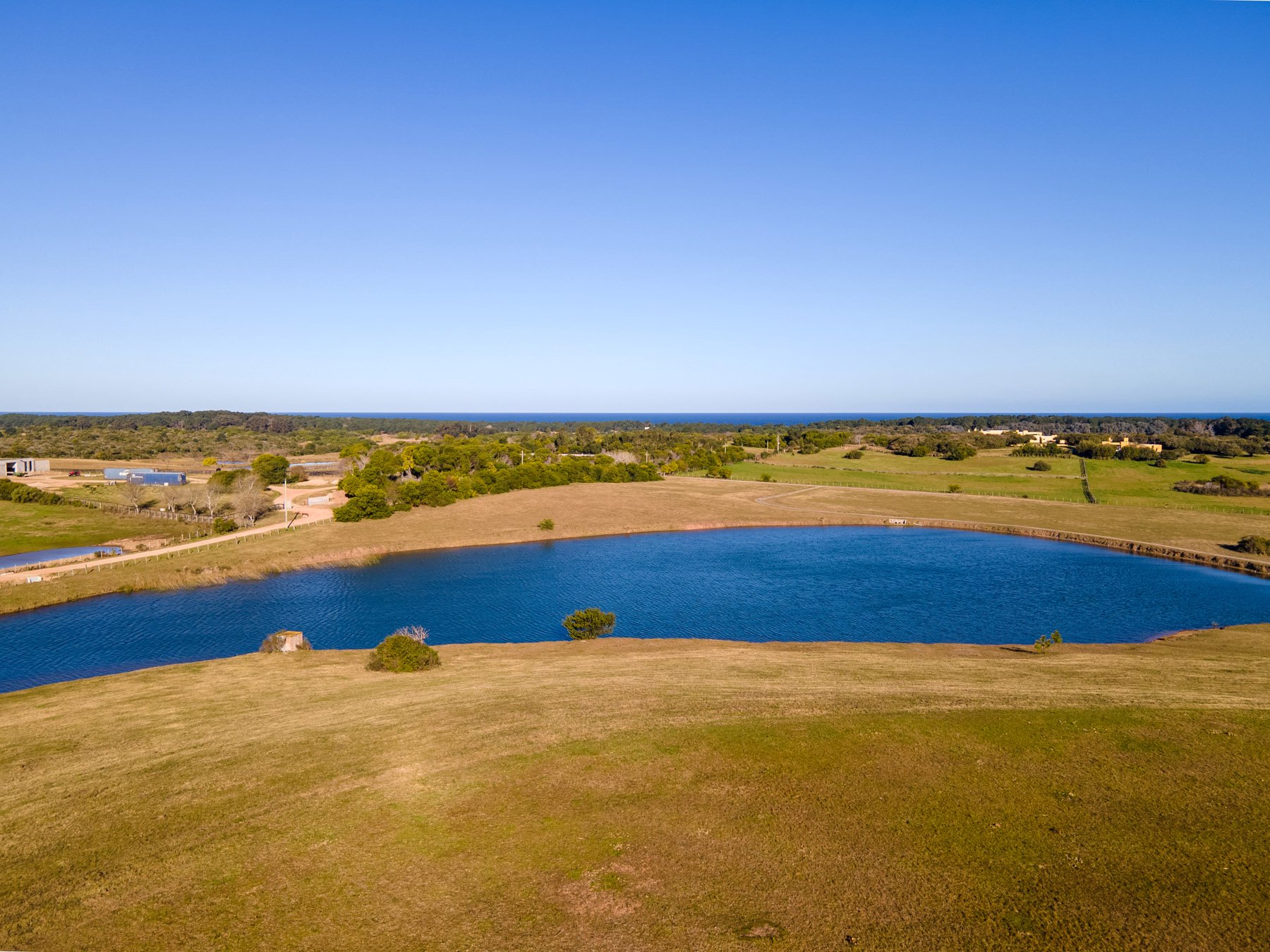  Magnificent Farm of 5 Hectares in José Ignacio - 物件實景