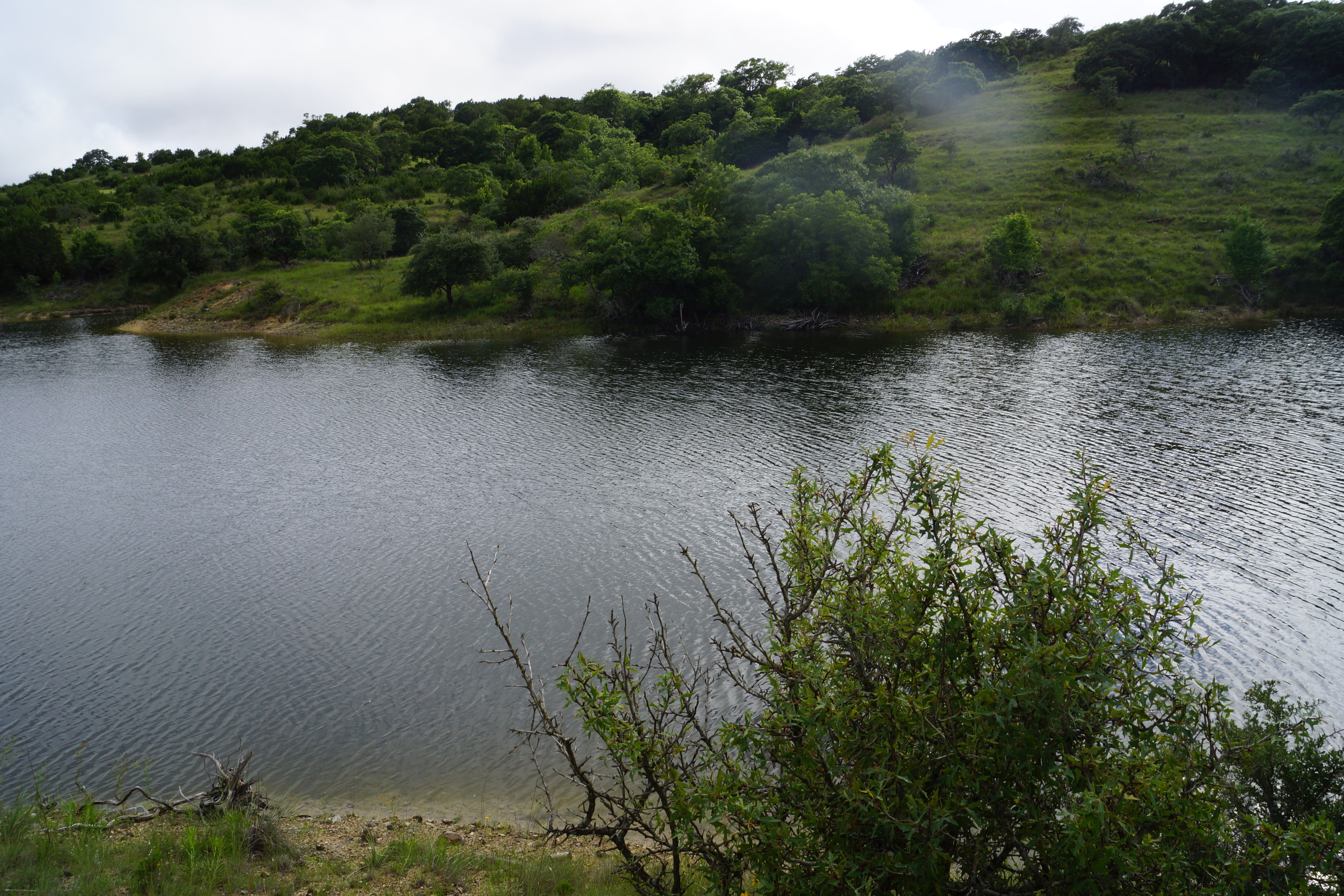  72+/- Acre Palmetto Creek Ranch - 物件實景