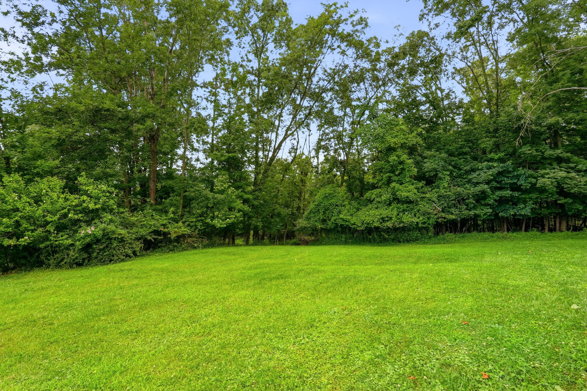  145 Karen Drive, Elizabeth, PA 15037 - 物件實景