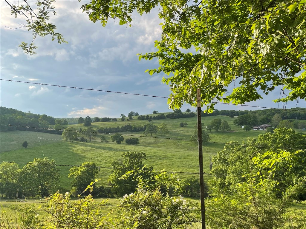 Berryville, Arkansas, 72616, United States, 6 Bedrooms Bedrooms, ,4 BathroomsBathrooms,Residential,For Sale,1988341