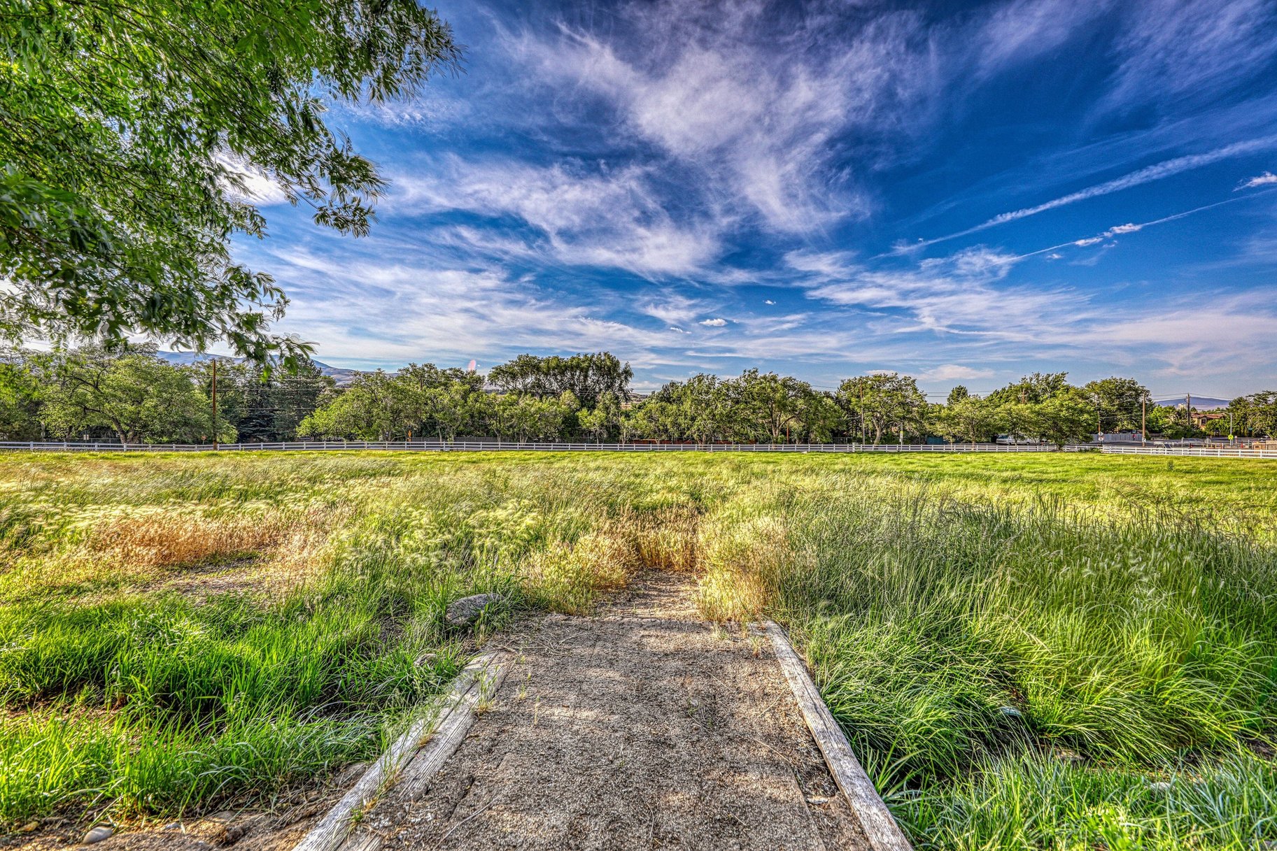  A Legacy Estate Opportunity in the Heart of Reno - 物件實景