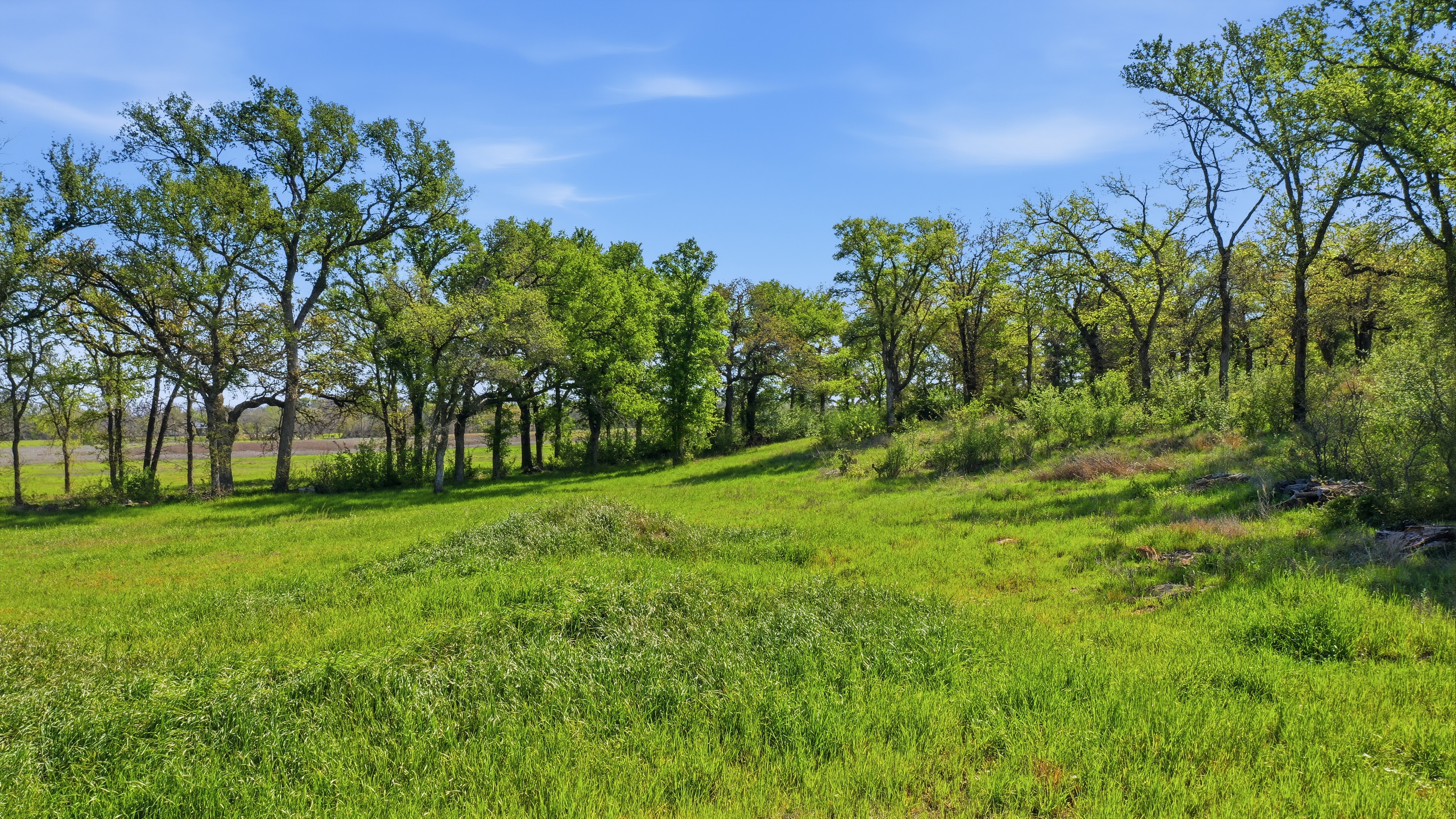  Space for Barns, Workshops, and Big Texas Dreams - 物件實景