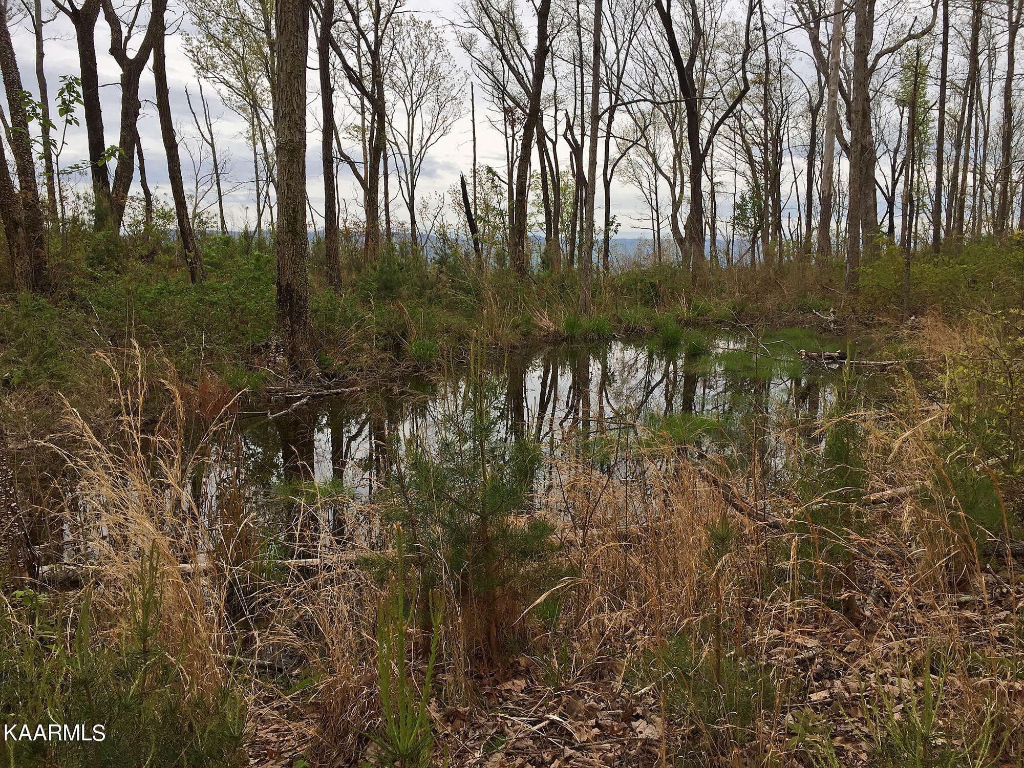 Pikeville, Tennessee, 37367, United States, ,Residential,For Sale,1943070