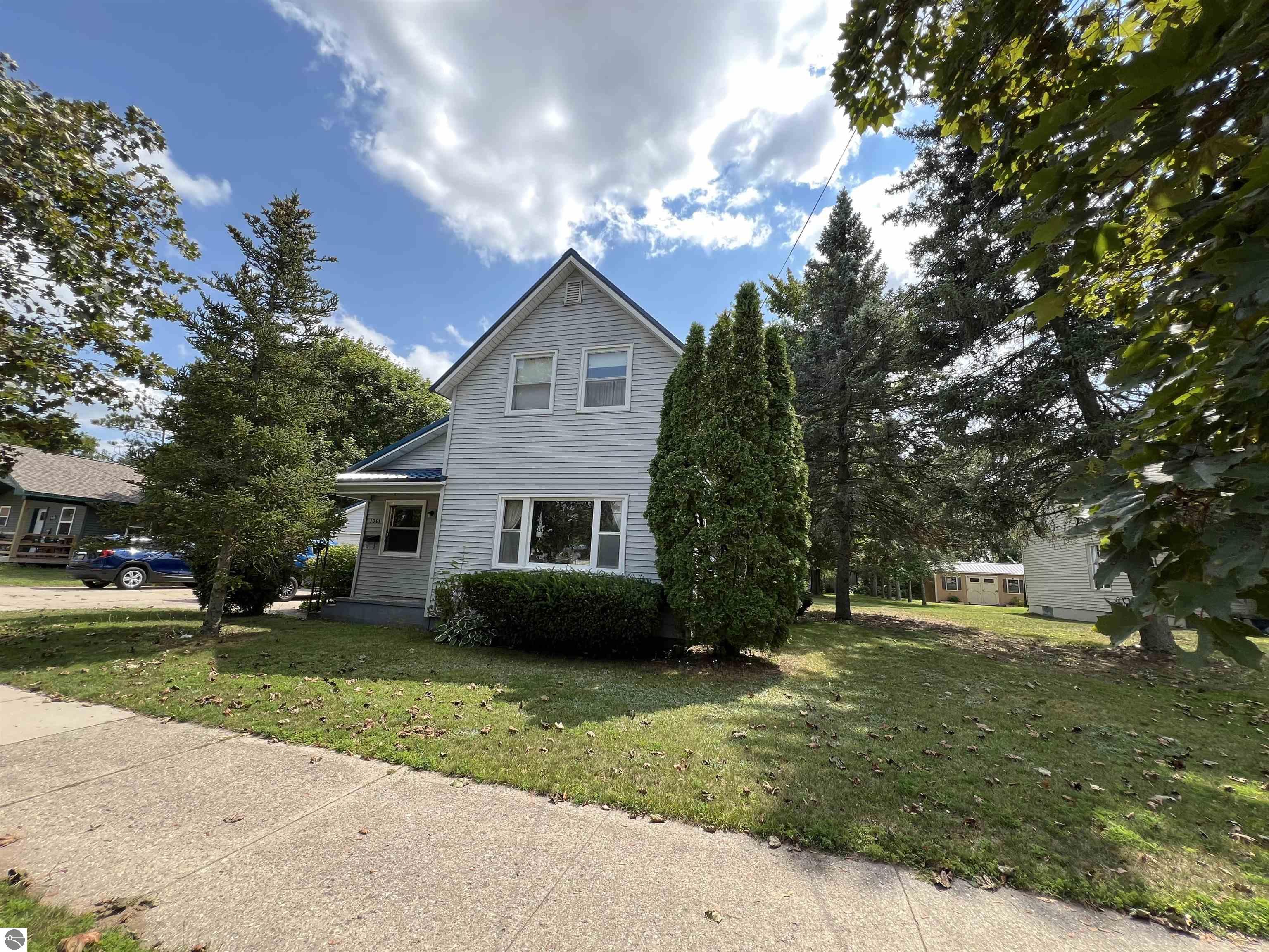 Chestnut St, Cadillac, MI 49601 #1