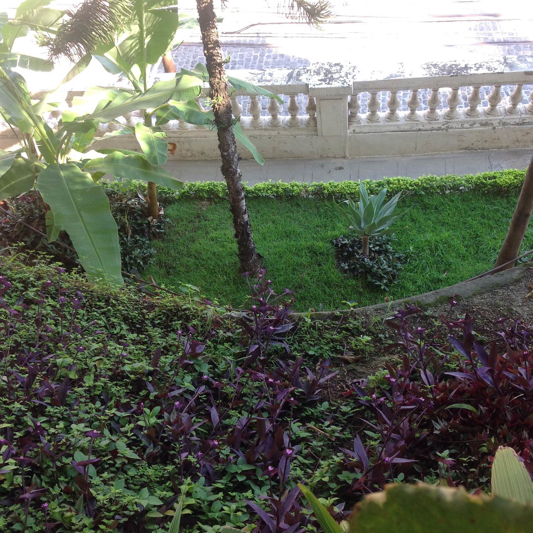  Boutique hotel in Santa Teresa - 物件實景