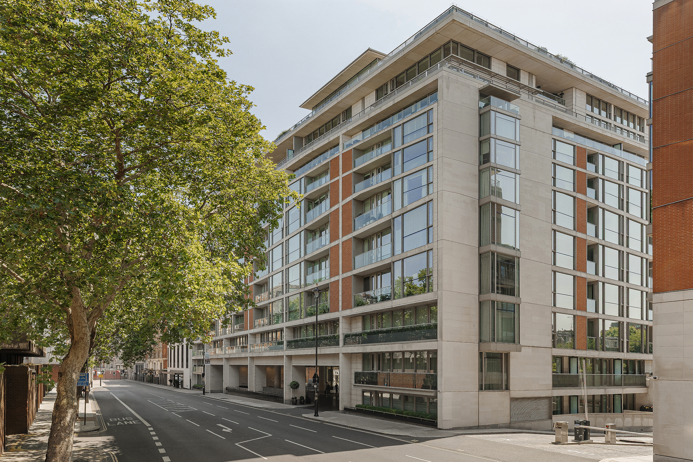  A Light-Filled Apartment with Exceptional Residents