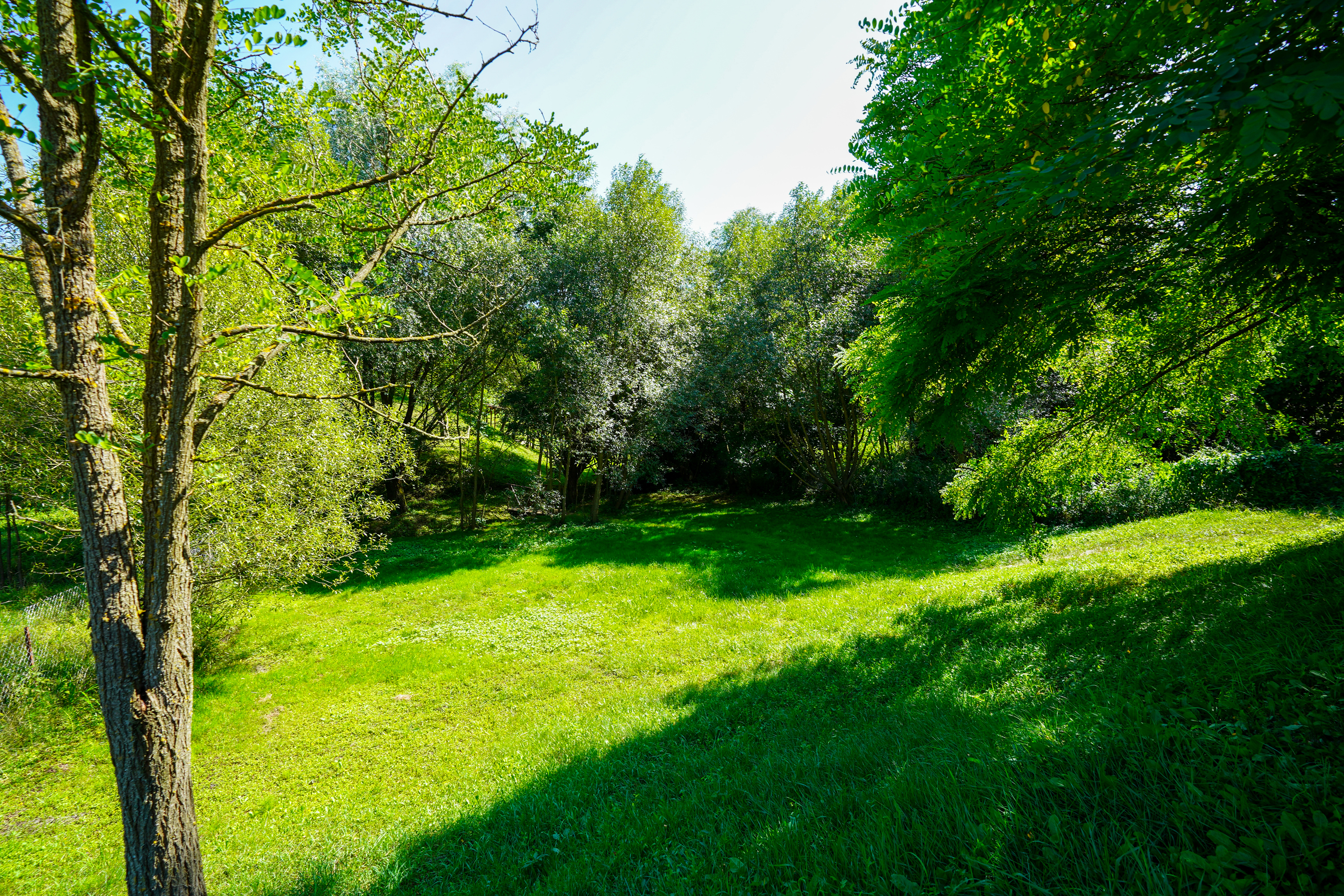  Restored Authentic Saxon House in Viscri, Between Heritage and Nature - 物件實景