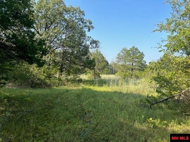 001-05276-003 INVERNESS DRIVE, Mountain Home, Arkansas, 72653, United States, ,Residential,For Sale,001-05276-003 INVERNESS DRIVE,1333567
