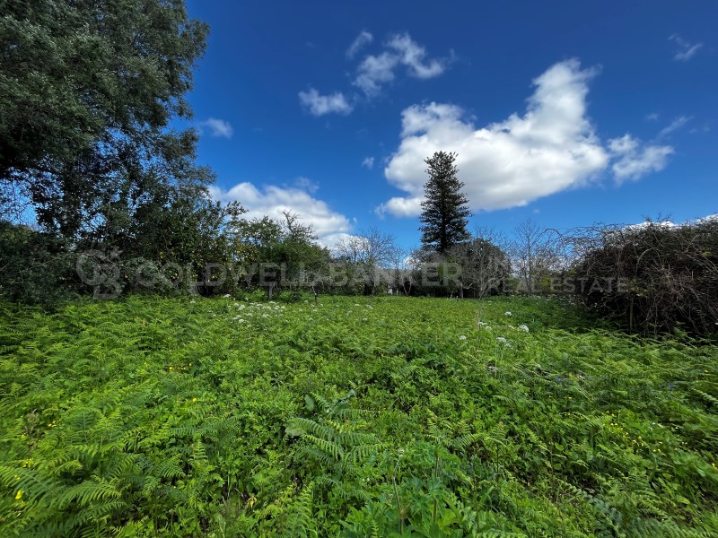 Pontevedra, Moa?a, Moa?a (San Marti?o P. E Virxe d, Moaña, Galicia, ES, 7 Bedrooms Bedrooms, ,2 BathroomsBathrooms,Residential,For Sale,Pontevedra, Moa?a, Moa?a (San Marti?o P. E Virxe d,1623275