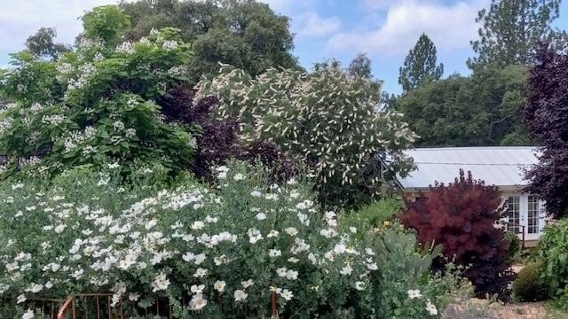 Mokelumne Hill, California, 95245, United States, 5 Bedrooms Bedrooms, ,3 BathroomsBathrooms,Residential,For Sale,1914362