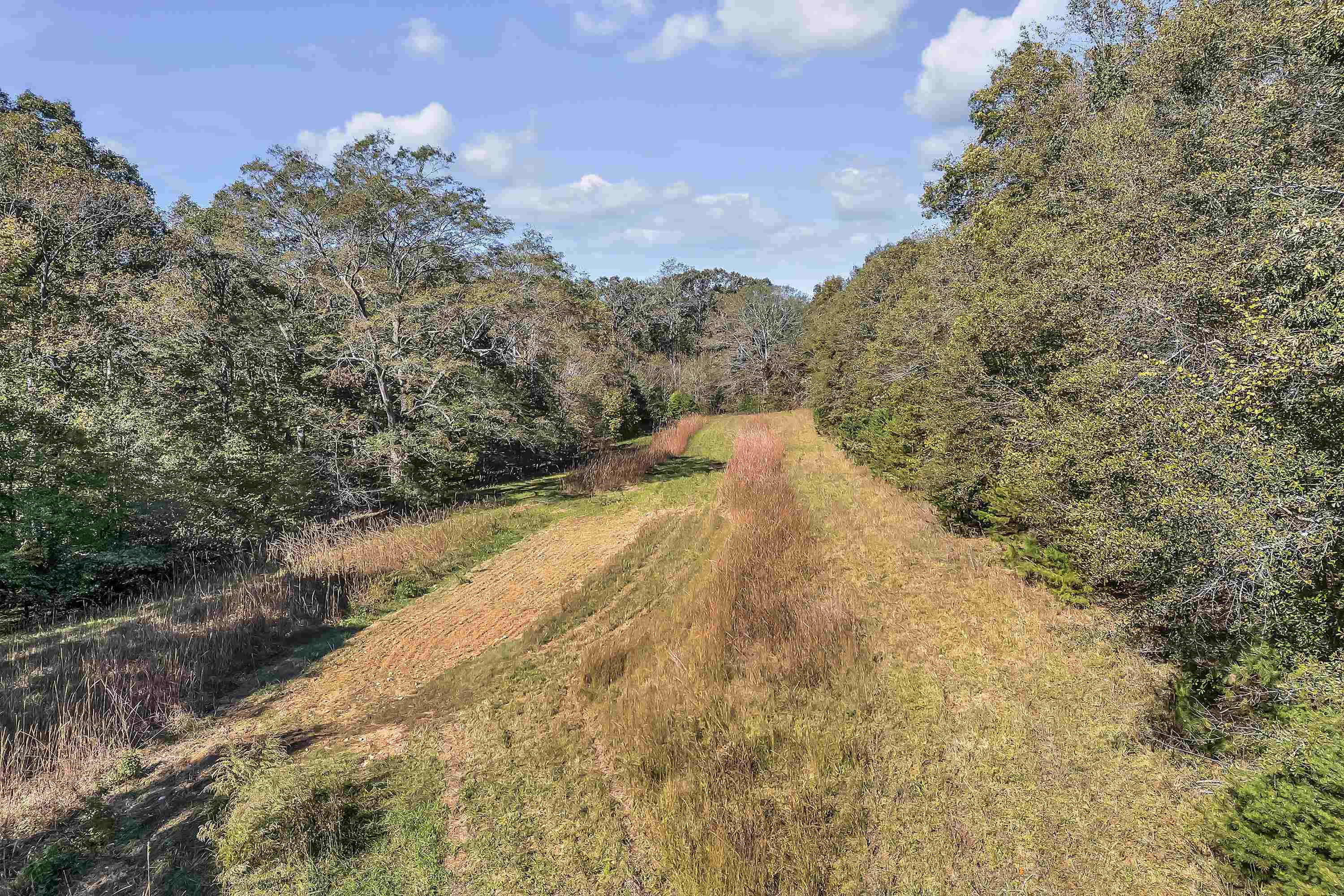 Old Converse Road, Spartanburg, South Carolina, 29301, United States, ,Land,For Sale,Old Converse Road,1646994