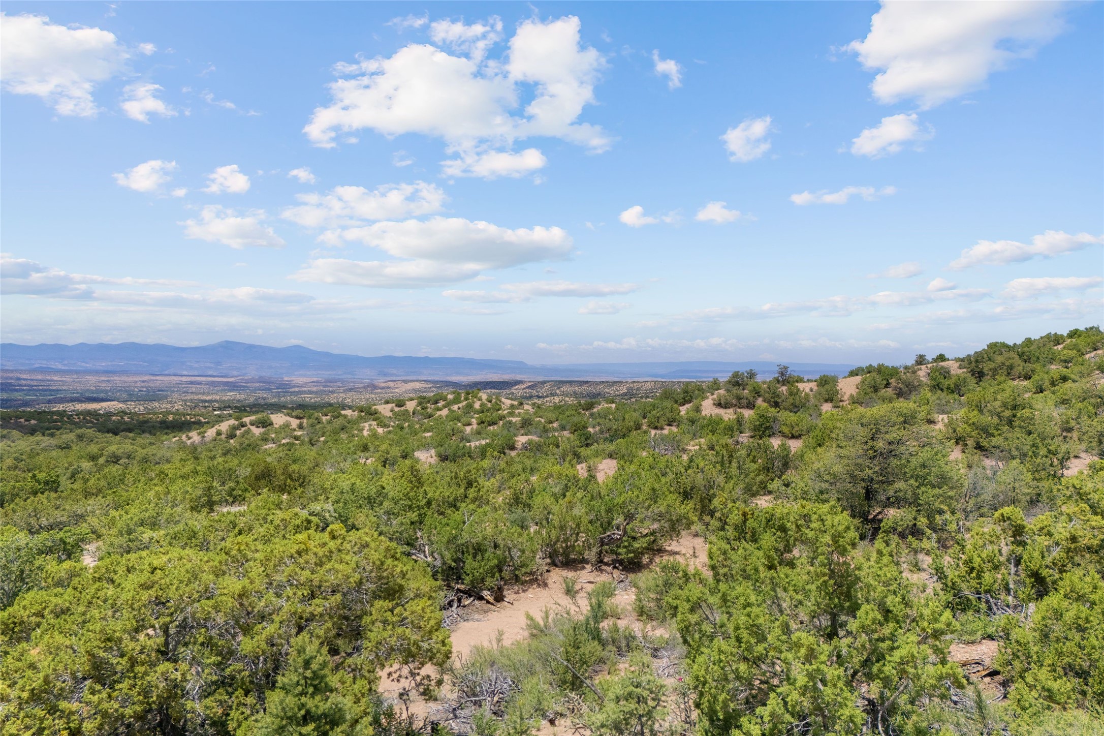  47 Pacheco Meadow Lane - 物件實景