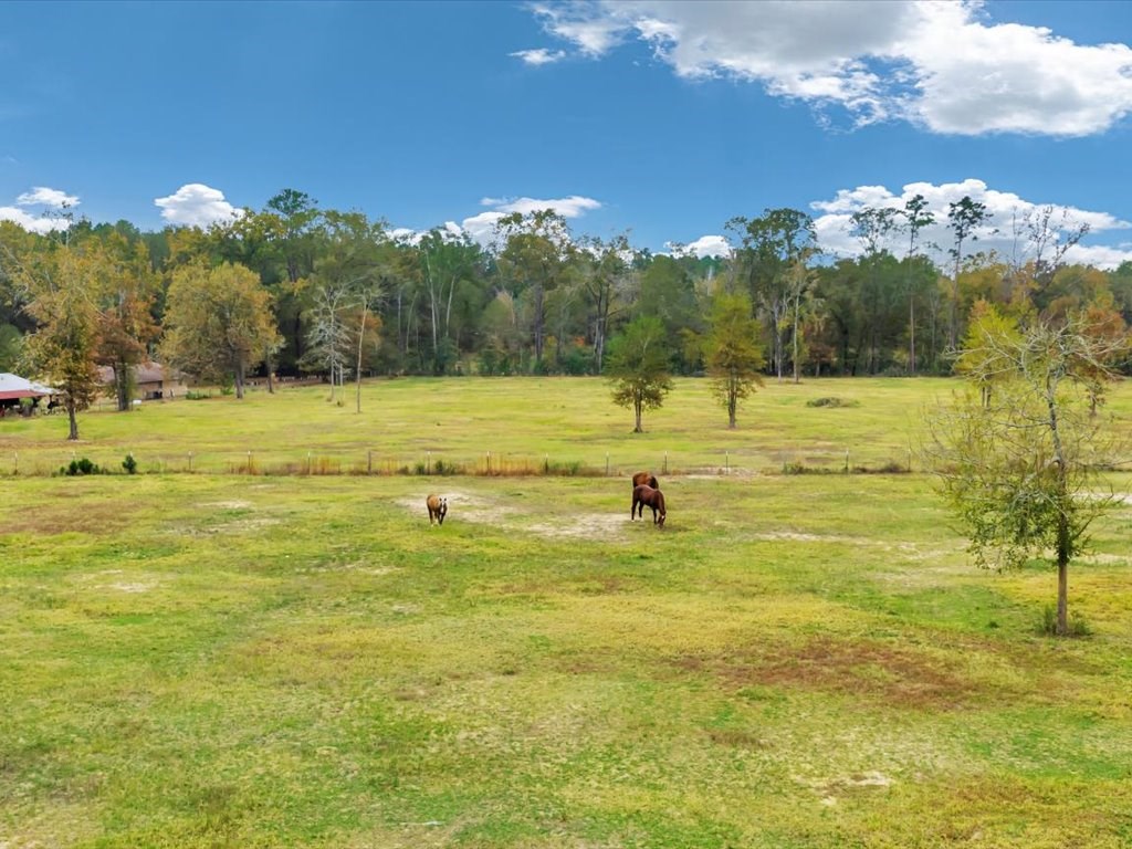 Lufkin, Texas, 75901, United States, 3 Bedrooms Bedrooms, ,2 BathroomsBathrooms,Residential,For Sale,1996440