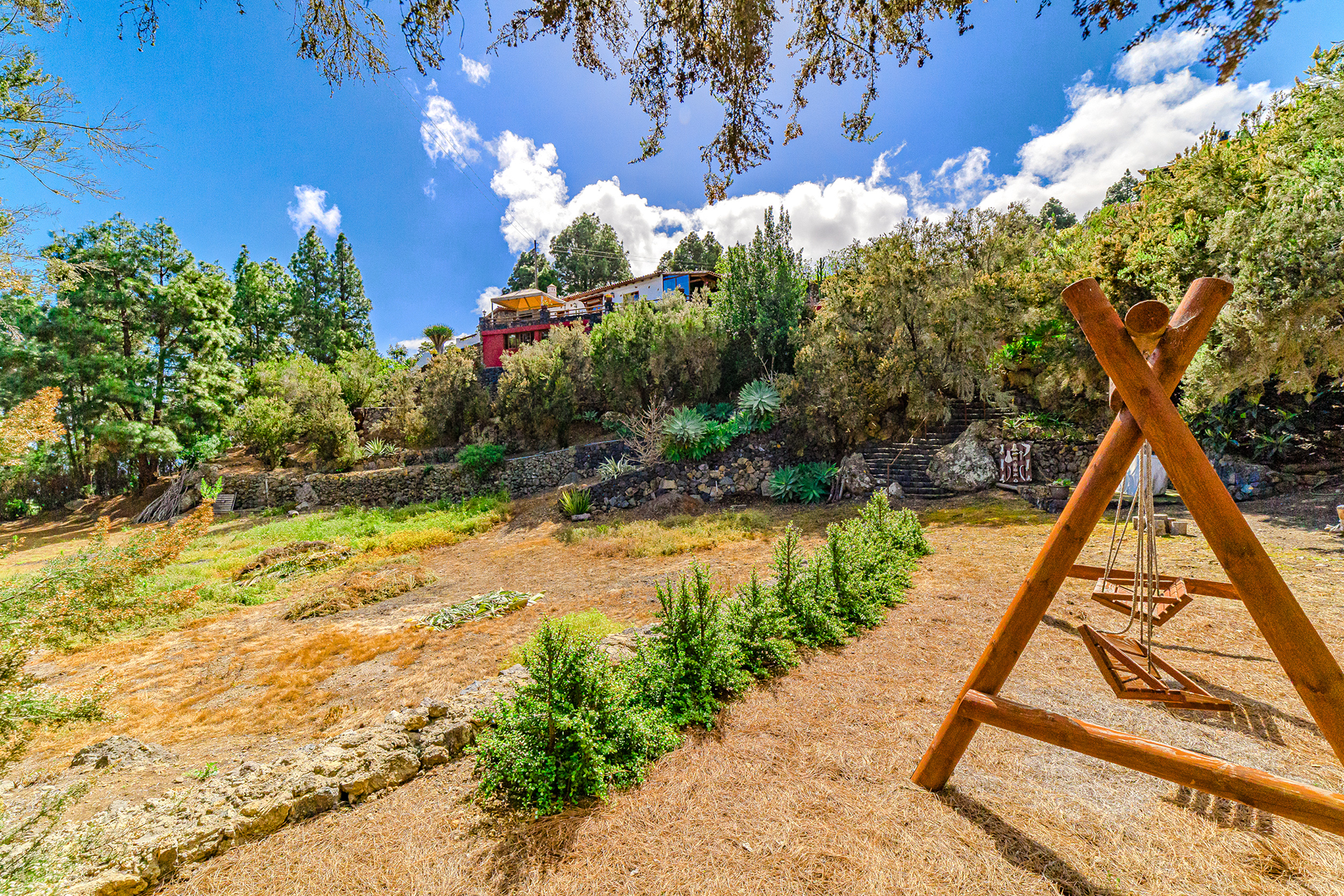  Rustic farmhouse in Icod de los Vinos, Tenerife - 物件實景