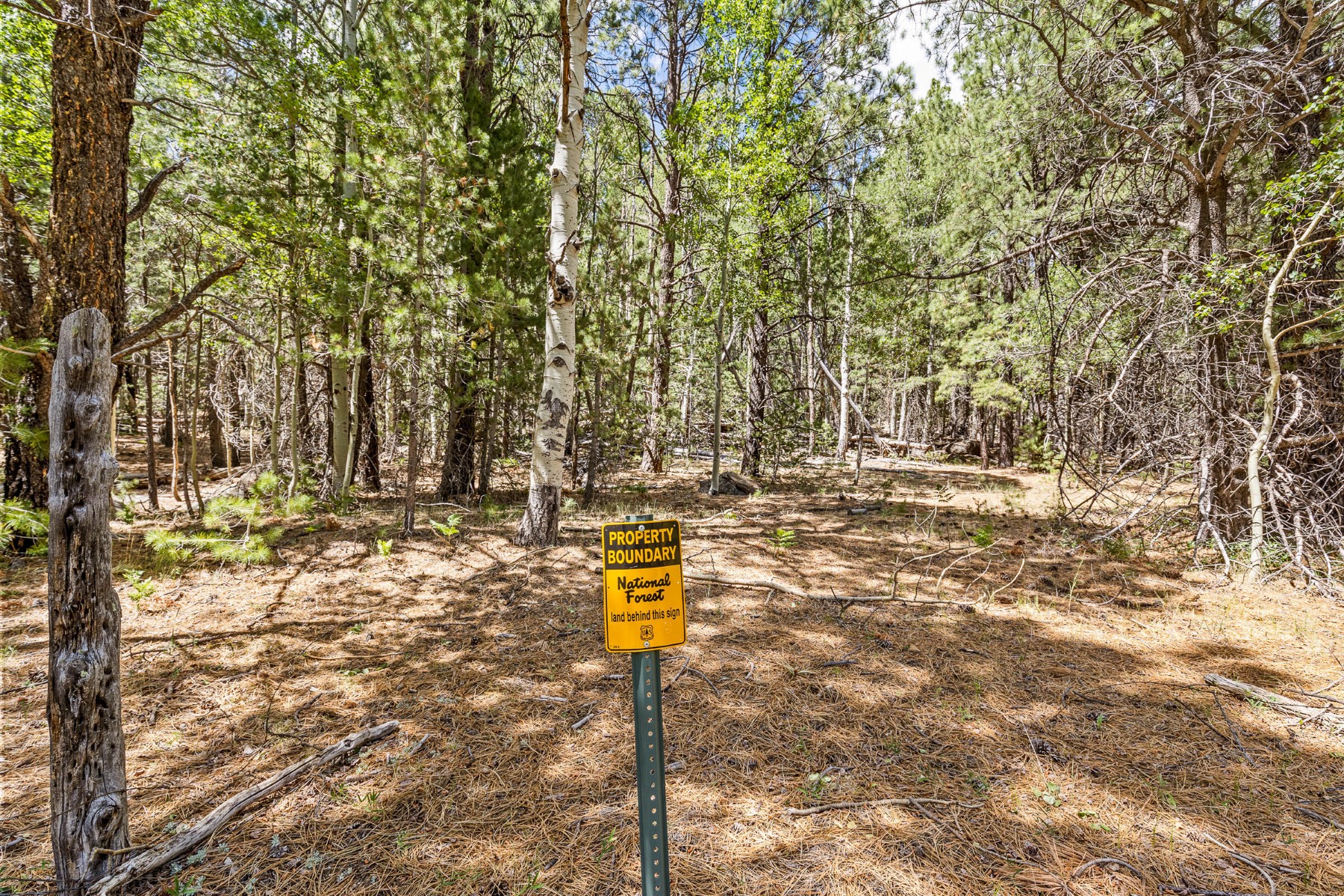  17787 N Forest Service 9004t Road ¦ Flagstaff, AZ - 物件實景