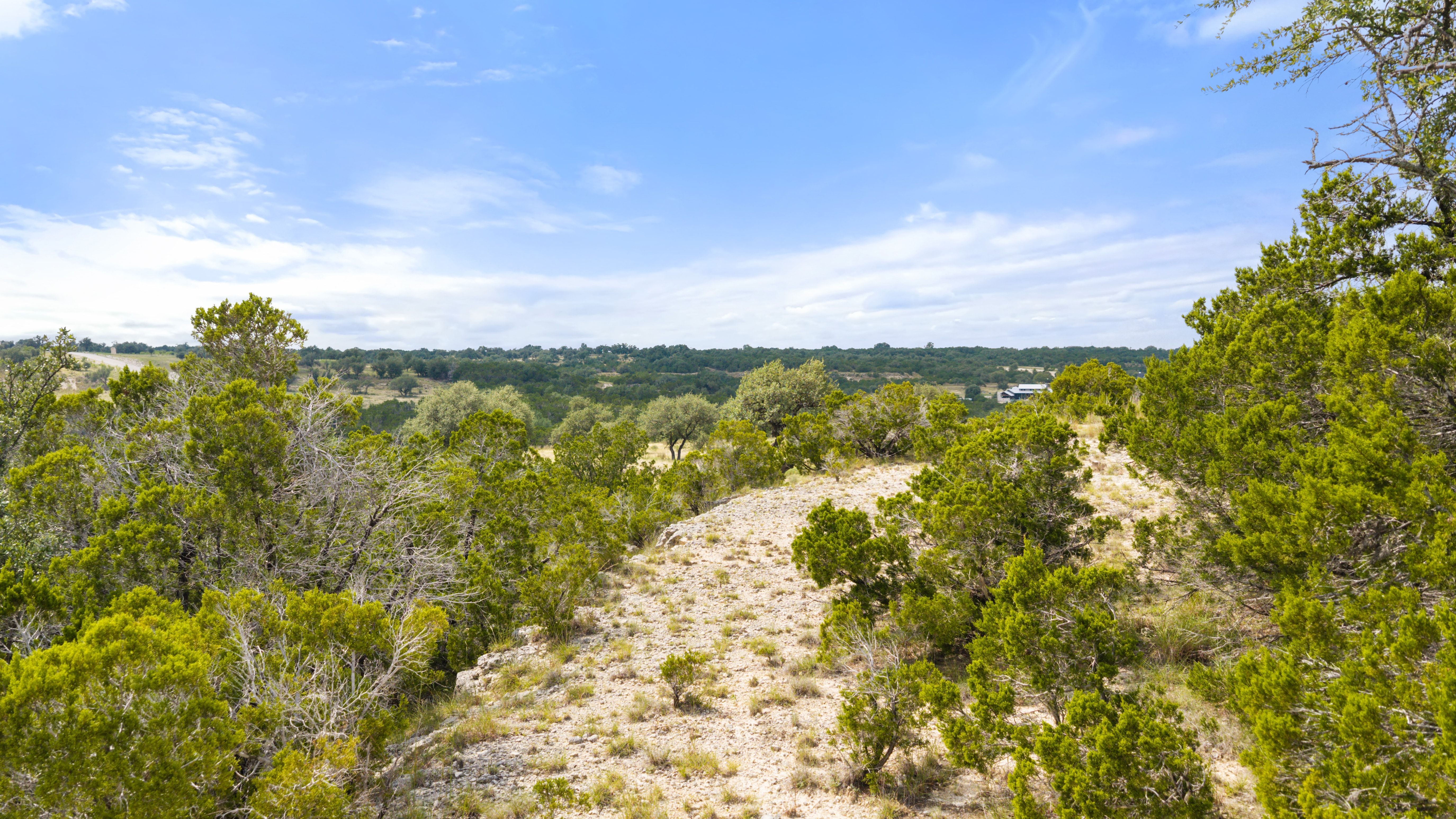  Dream Home Worthy 5 Acre Lot - 147 East Flying Owl Drive - 物件實景