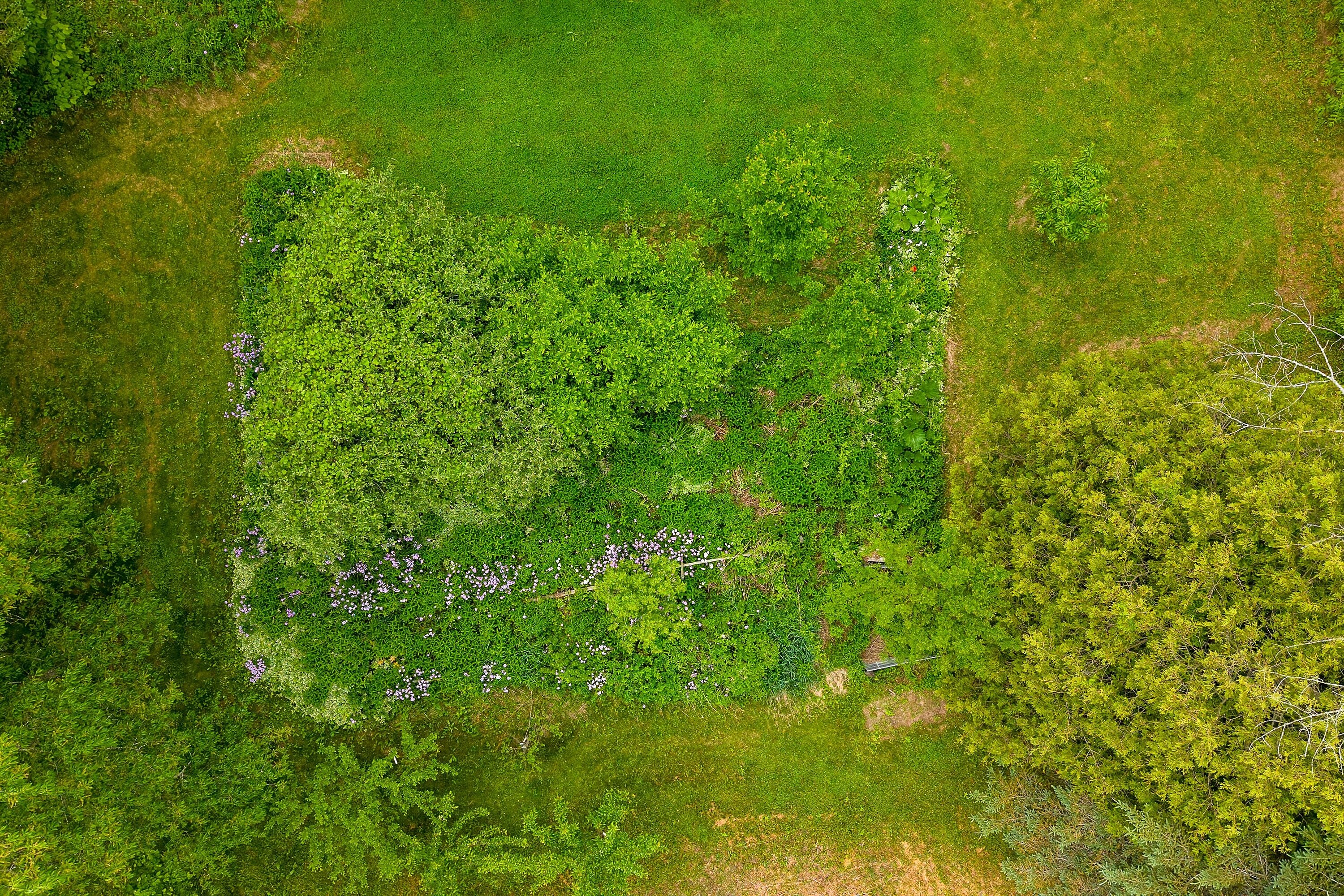  33 Acre Country Retreat - 物件實景