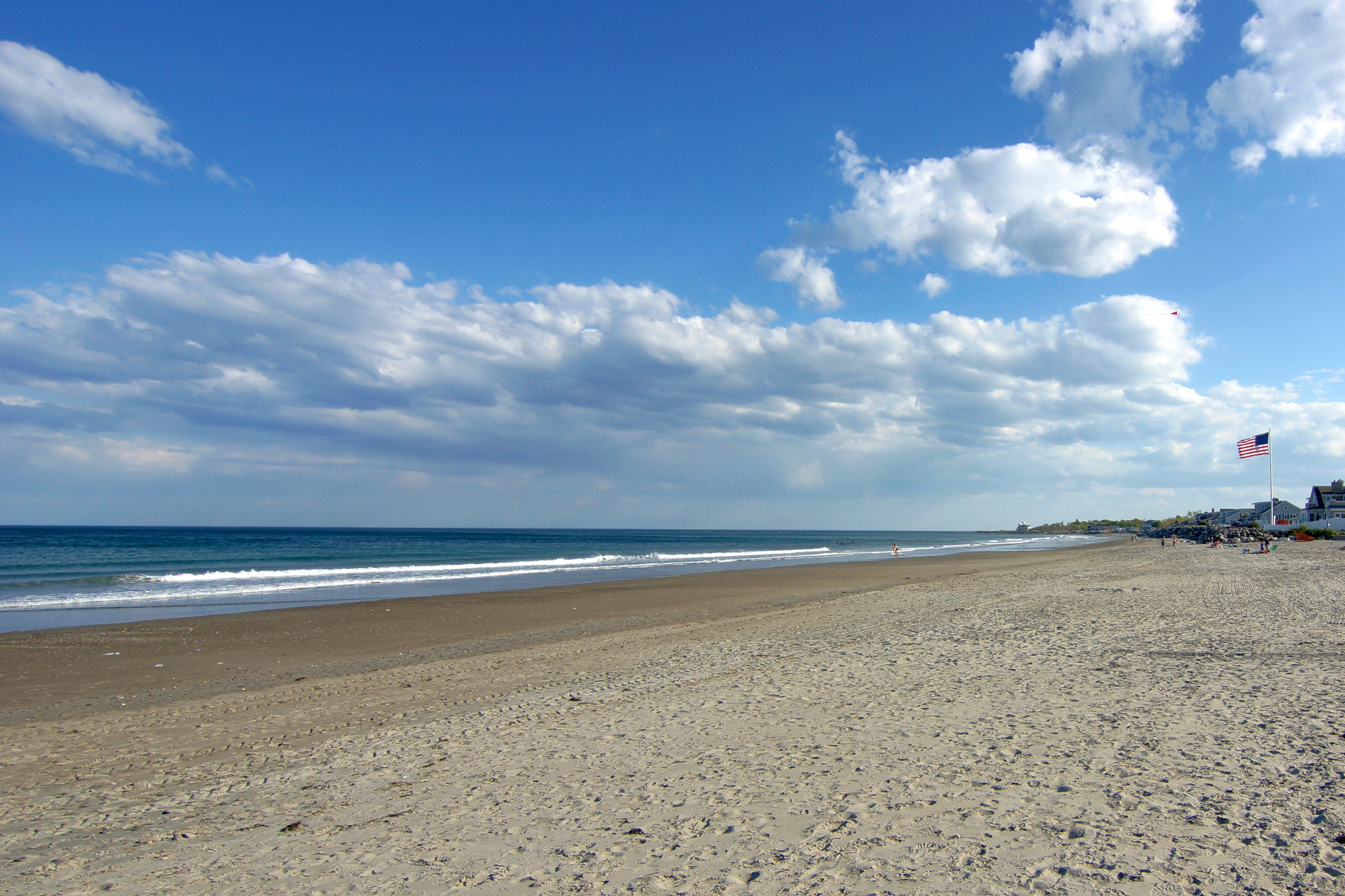  194 Locke Road - 物件實景