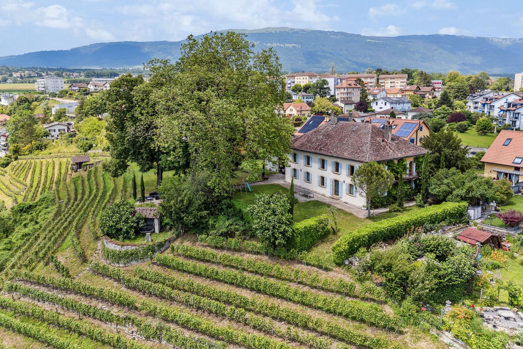  Sumptuous historic property on a wine-growing estate - 物件實景