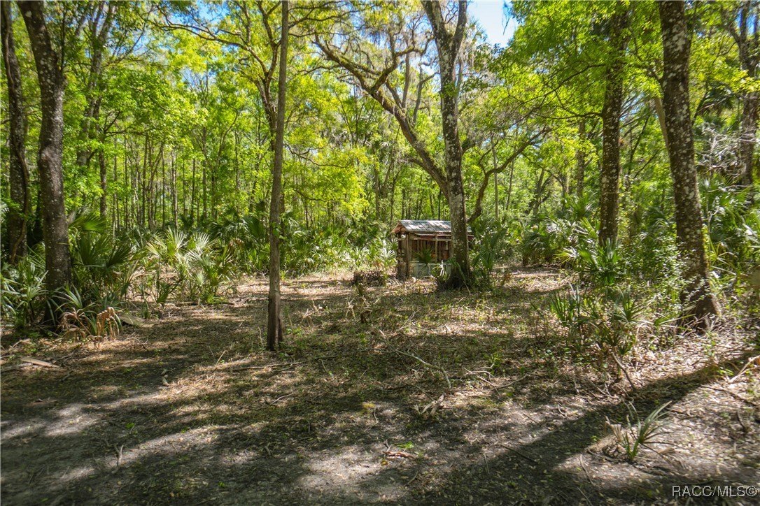 Inverness, Florida, 34450, United States, 3 Bedrooms Bedrooms, ,2 BathroomsBathrooms,Residential,For Sale,1881074