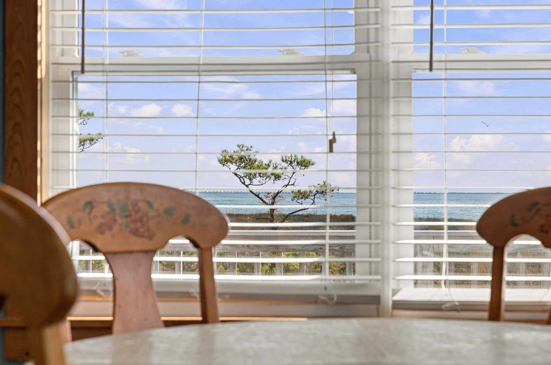  162 Edgewater Drive, Grandy, NC 27939 - 物件實景