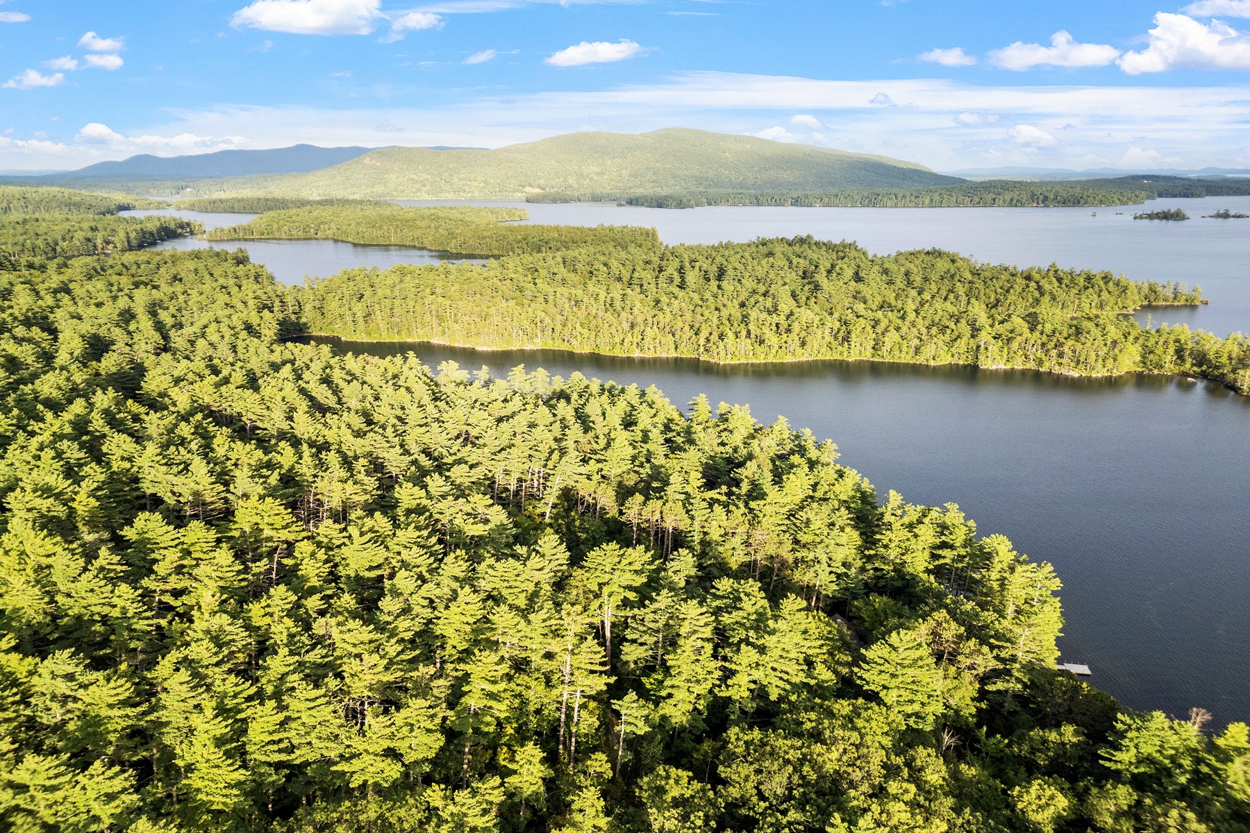  294 Pinehurst Road - 物件實景