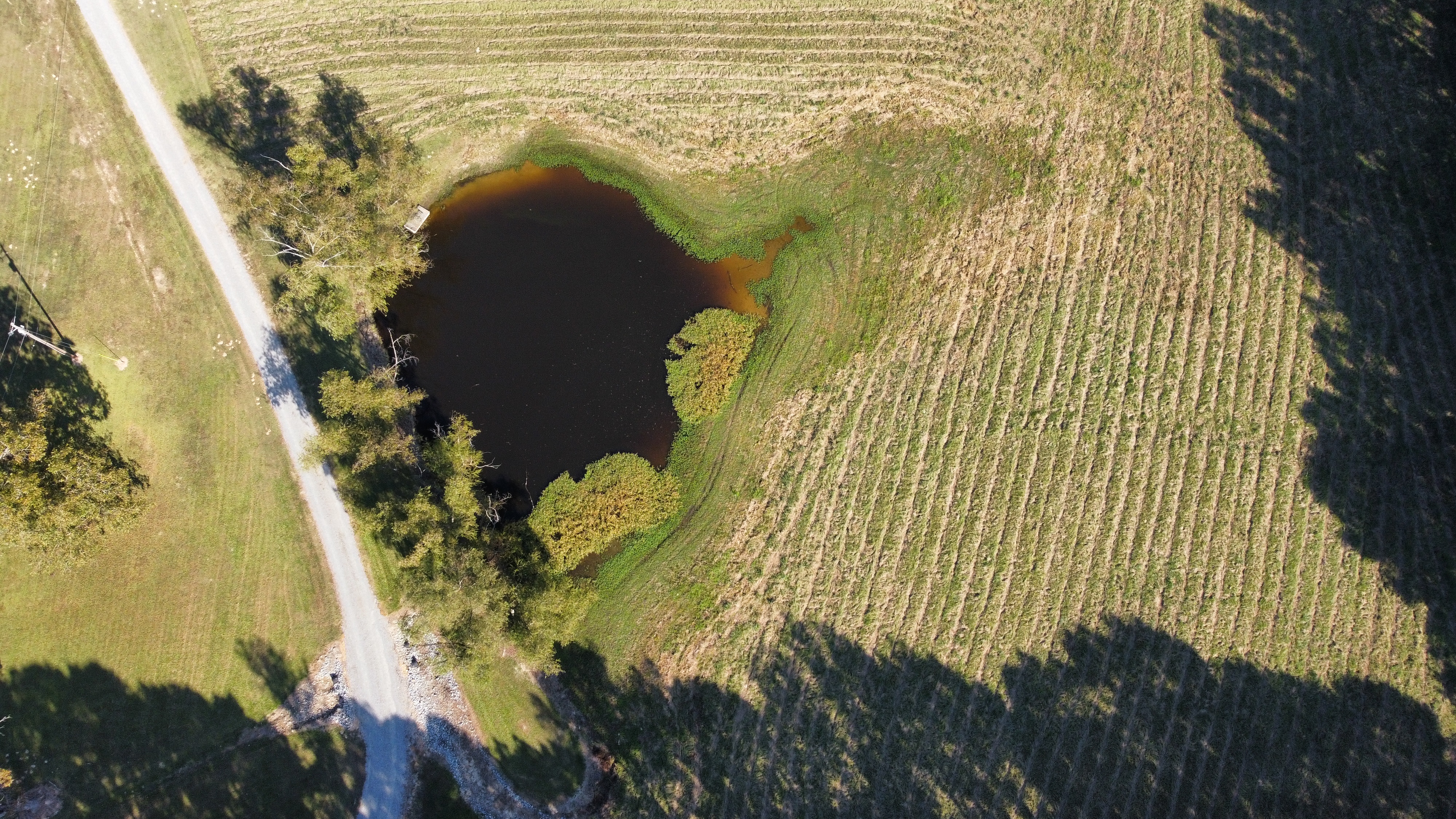 El Dorado, Arkansas, 71730, United States, 3 Bedrooms Bedrooms, ,3 BathroomsBathrooms,Residential,For Sale,1982528