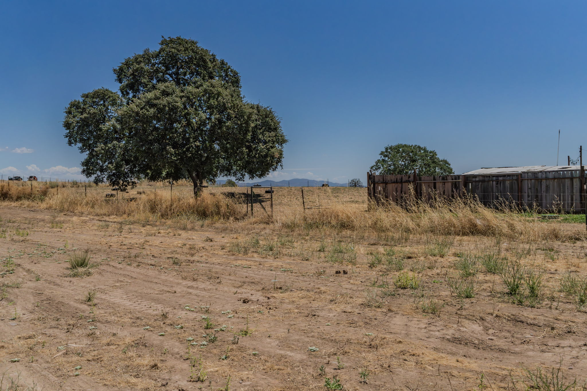  1916 Village Drive, Ione, CA 95640 - 物件實景