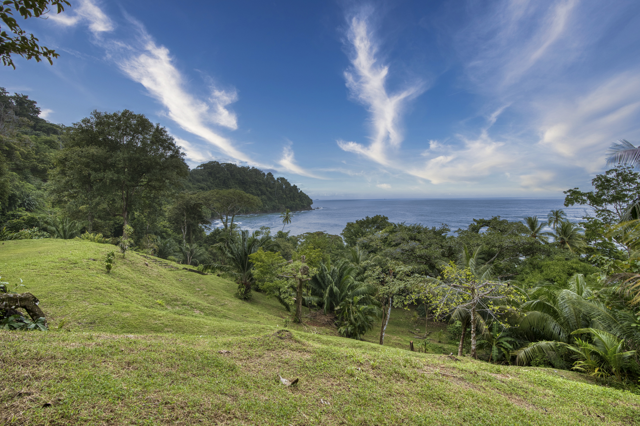 Dominical, Puntarenas, CR, ,Land,For Sale,1839872