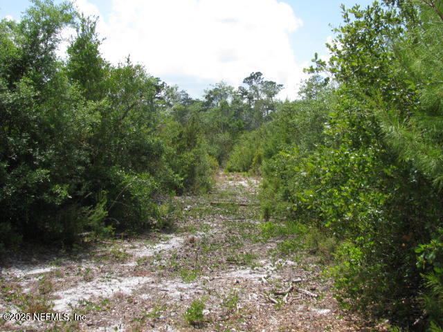 DeLeon Springs, Florida, 32130, United States, ,Land,For Sale,1978390