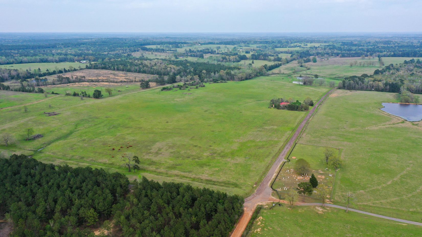 Bivins, Texas, 75555, United States, ,Residential,For Sale,1755933