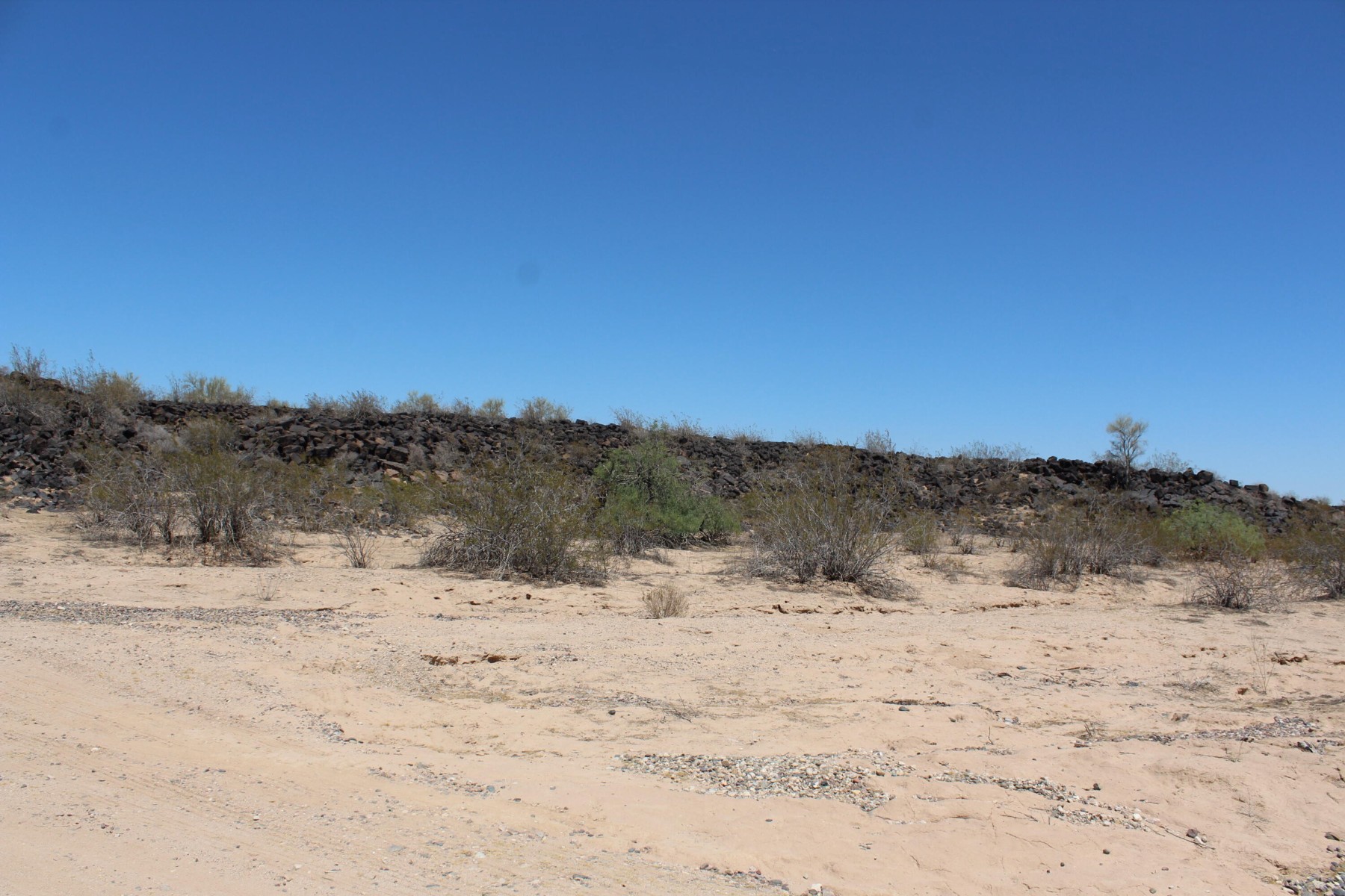 11 S 337th Avenue, Arlington, AZ, 85322 - 物件實景
