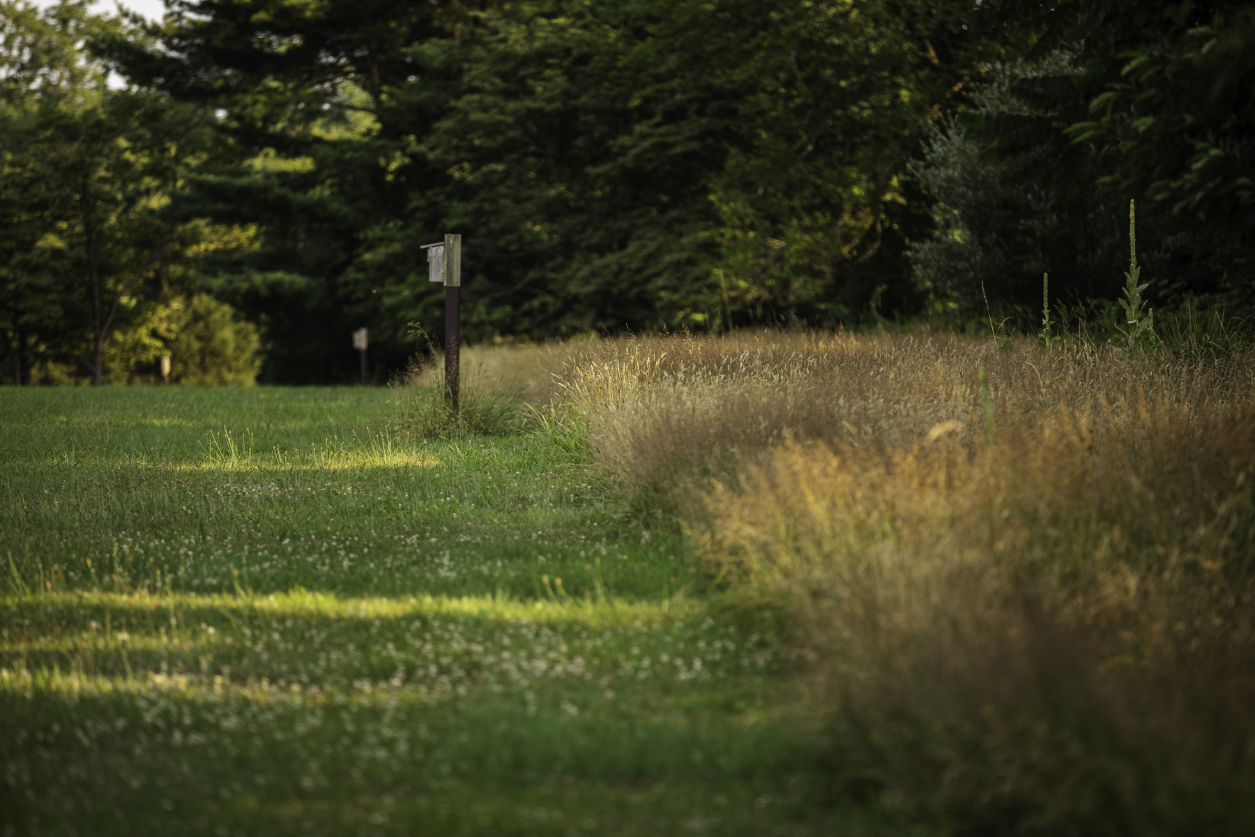  Former Stable Complex of U.S. Golf Association, Future Building Lot. - 物件實景