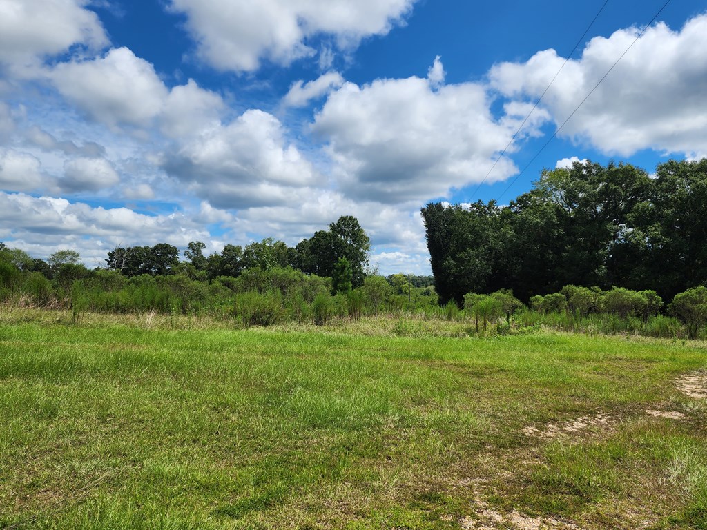 Pansey, Alabama, 36370, United States, 3 Bedrooms Bedrooms, ,3 BathroomsBathrooms,Residential,For Sale,1943922