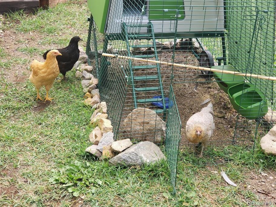 Georgetown, Colorado, 80444, United States, 2 Bedrooms Bedrooms, ,1 BathroomBathrooms,Residential,For Sale,1992170