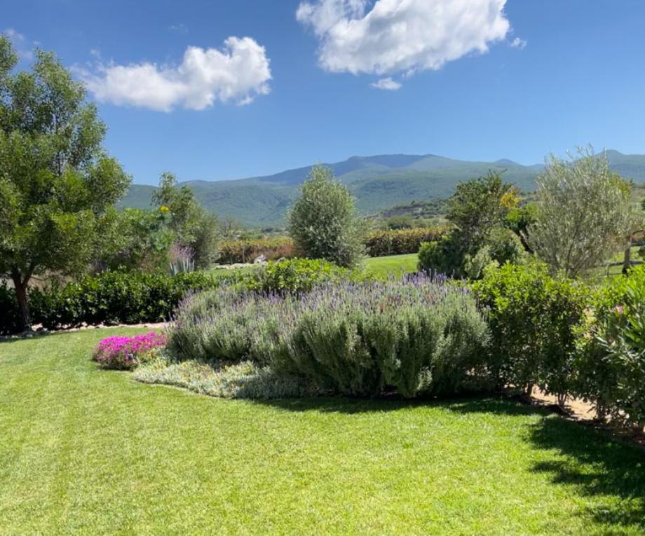 Lote 7 y 8, San Miguel de Allende, Guanajuato, 38200, Mexico, 1 Bedroom Bedrooms, ,Residential,For Sale,Lote 7 y 8,1629015
