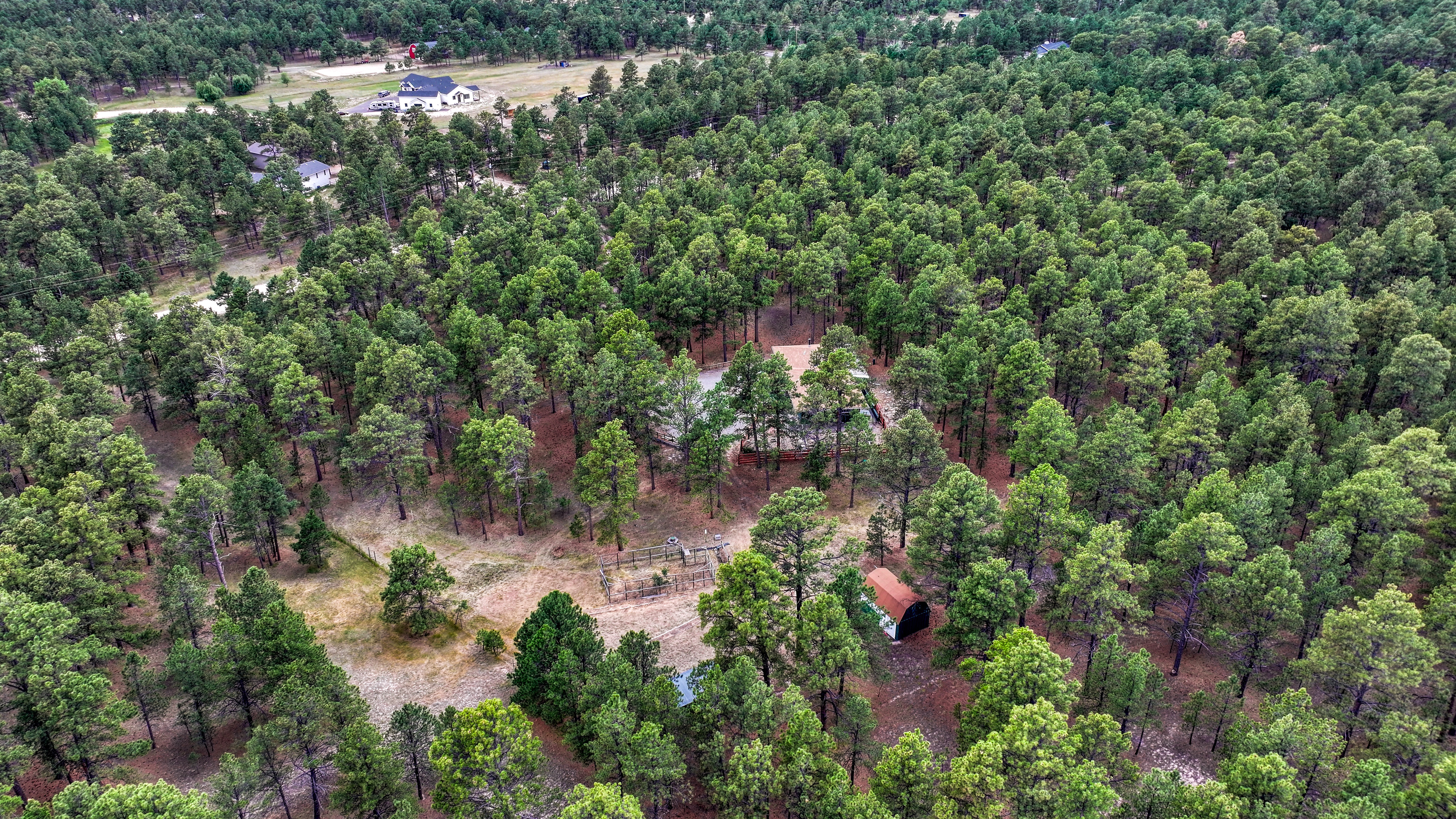  Meticulously maintained ranch-style home in sought-after Black Forest - 物件實景
