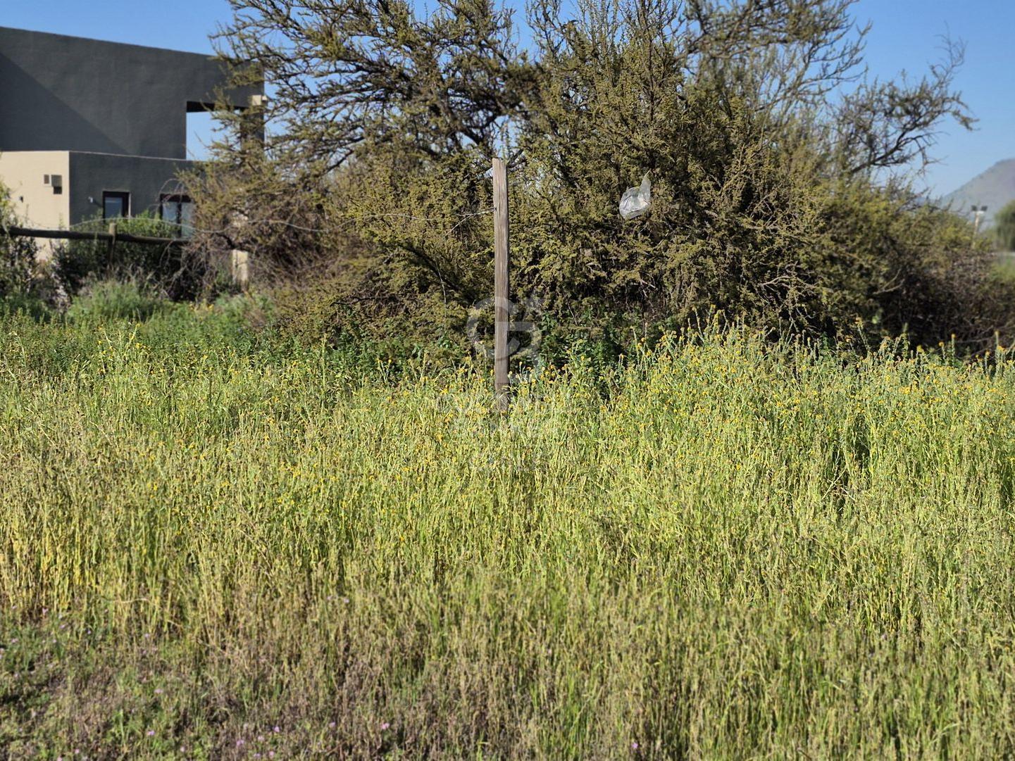 Colina, Chile, ,Land,For Sale,1958445