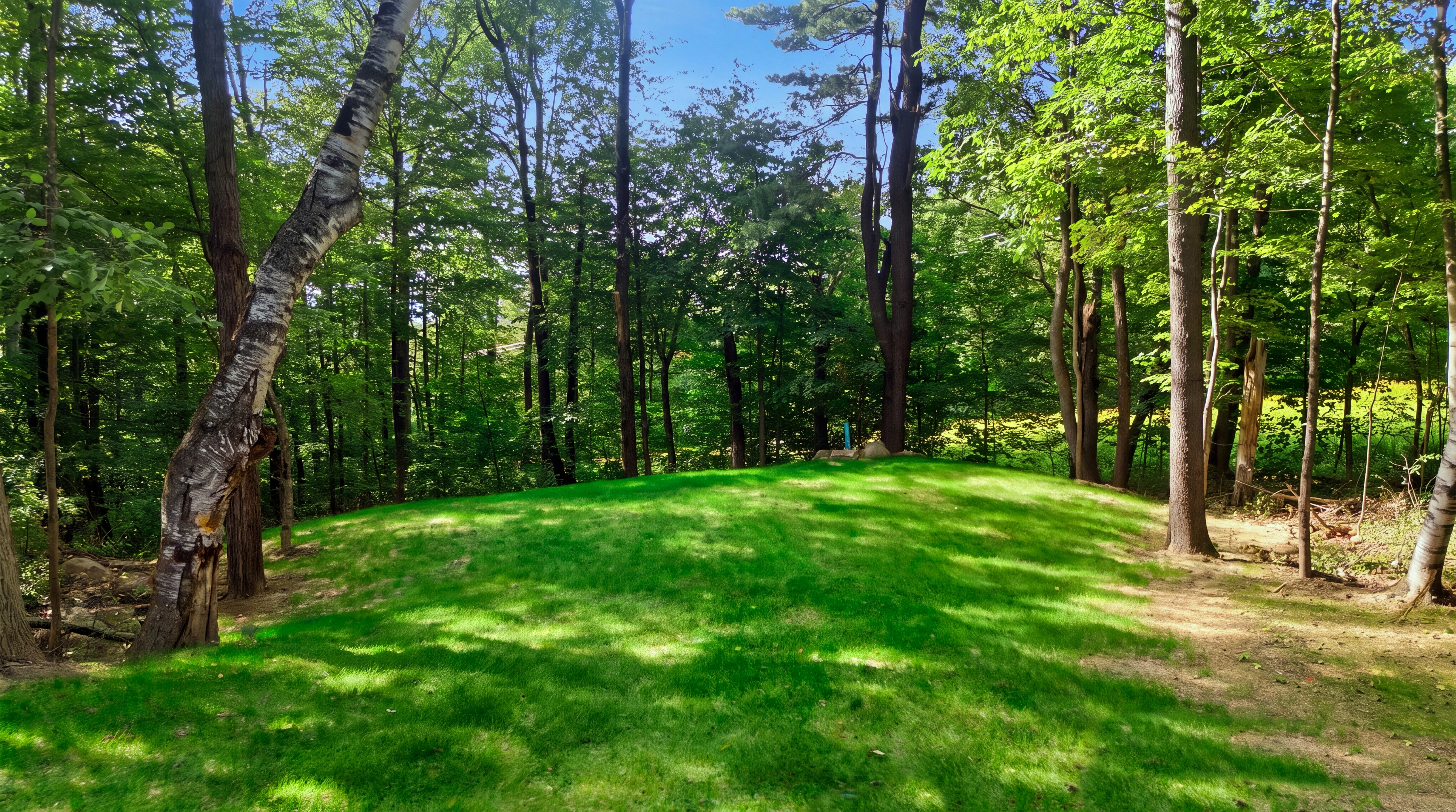 Privacy, Mountain Views & Exceptional Indoor-Outdoor Living in Hinsdale - 物件實景