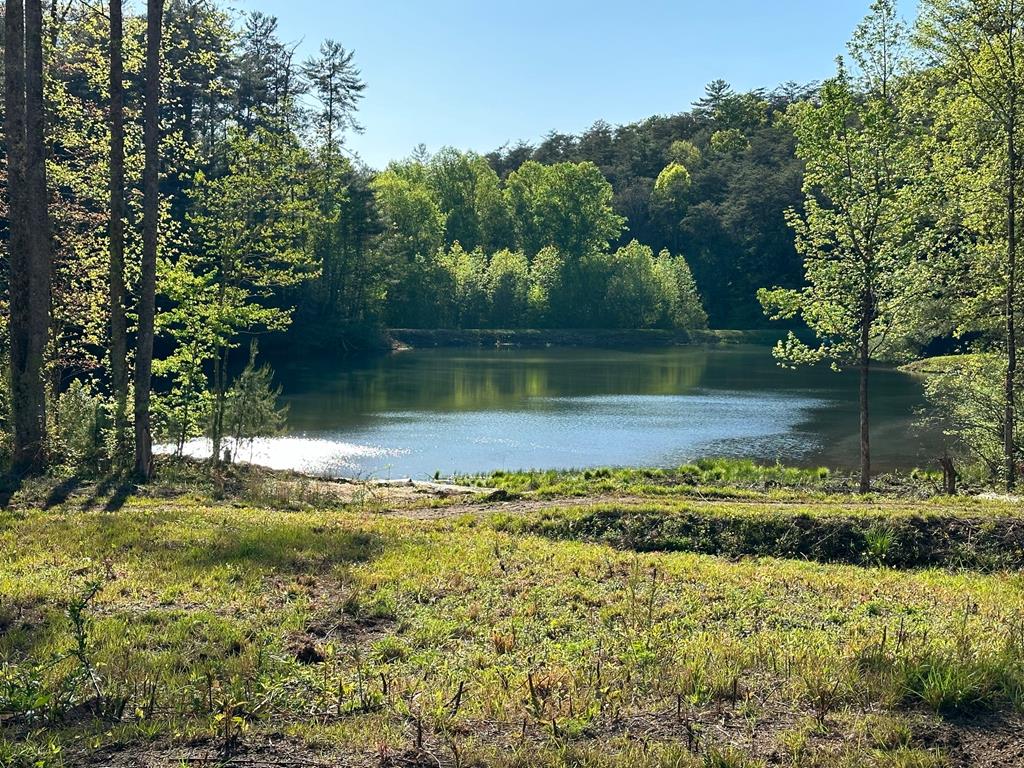 Ellijay, Georgia, 30536, United States, 5 Bedrooms Bedrooms, ,3 BathroomsBathrooms,Residential,For Sale,1982732