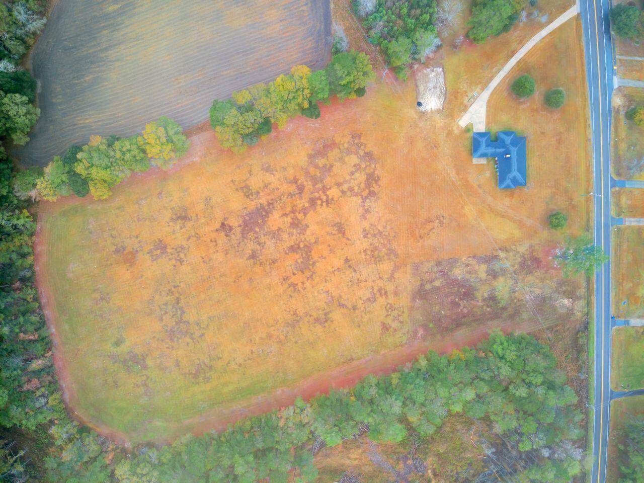 388 Main Street E, Harleyville, South Carolina, 29448, United States, 4 Bedrooms Bedrooms, ,2 BathroomsBathrooms,Residential,For Sale,388 Main Street E,1668462